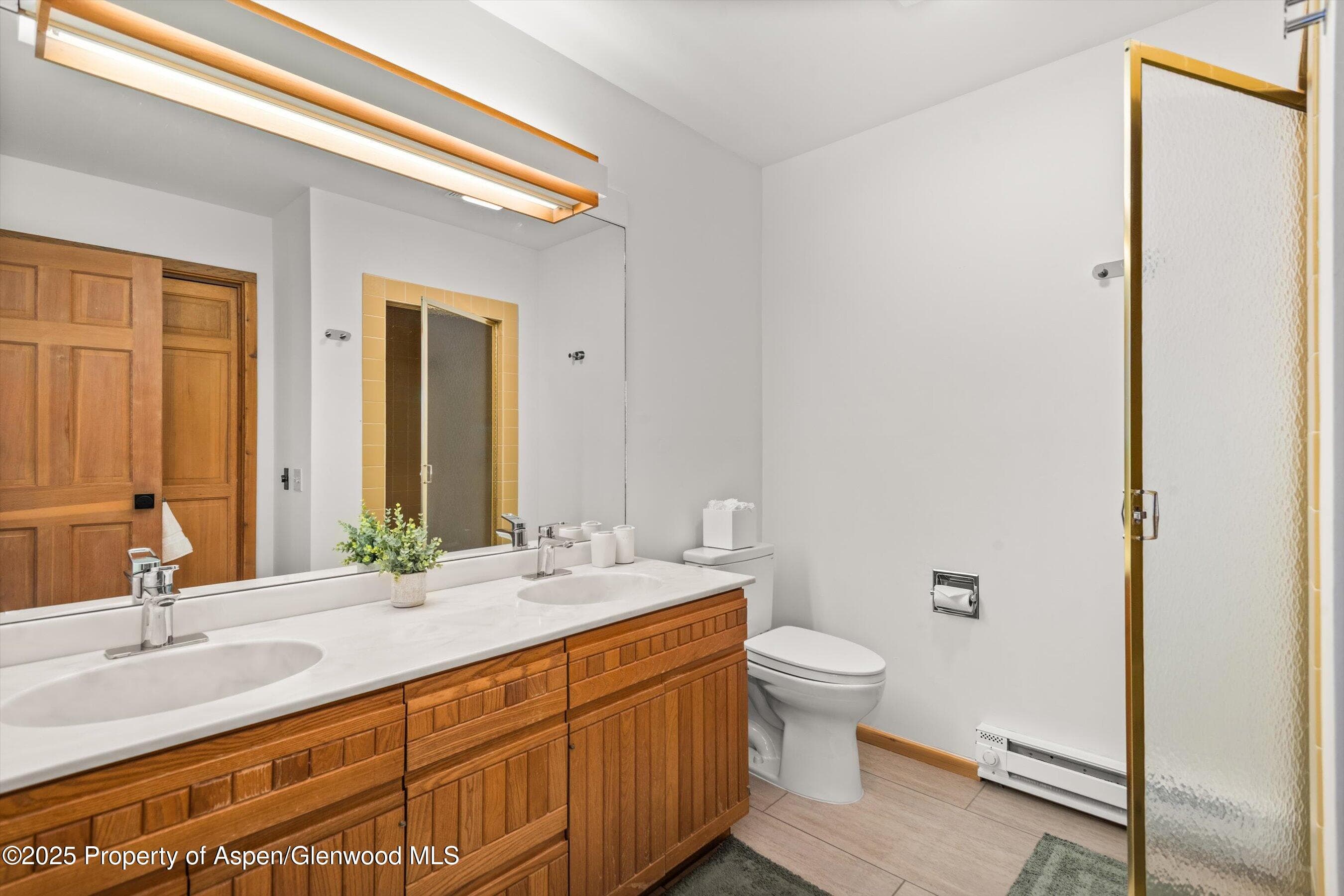 28 Larkspur Lane, Aspen, CO 81611 - Photo 20