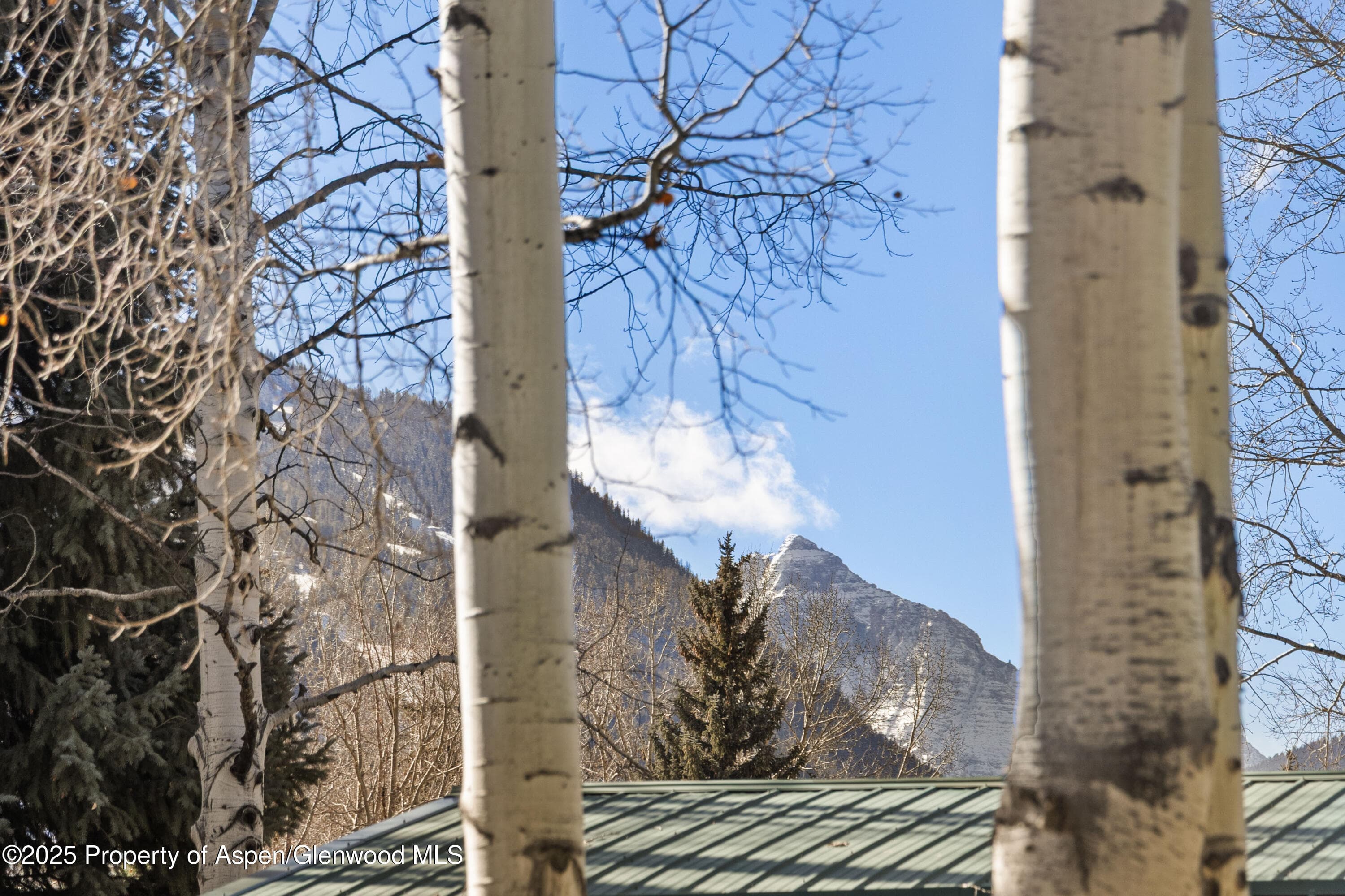 824 Bonita Drive, Aspen, CO 81611 - Photo 33
