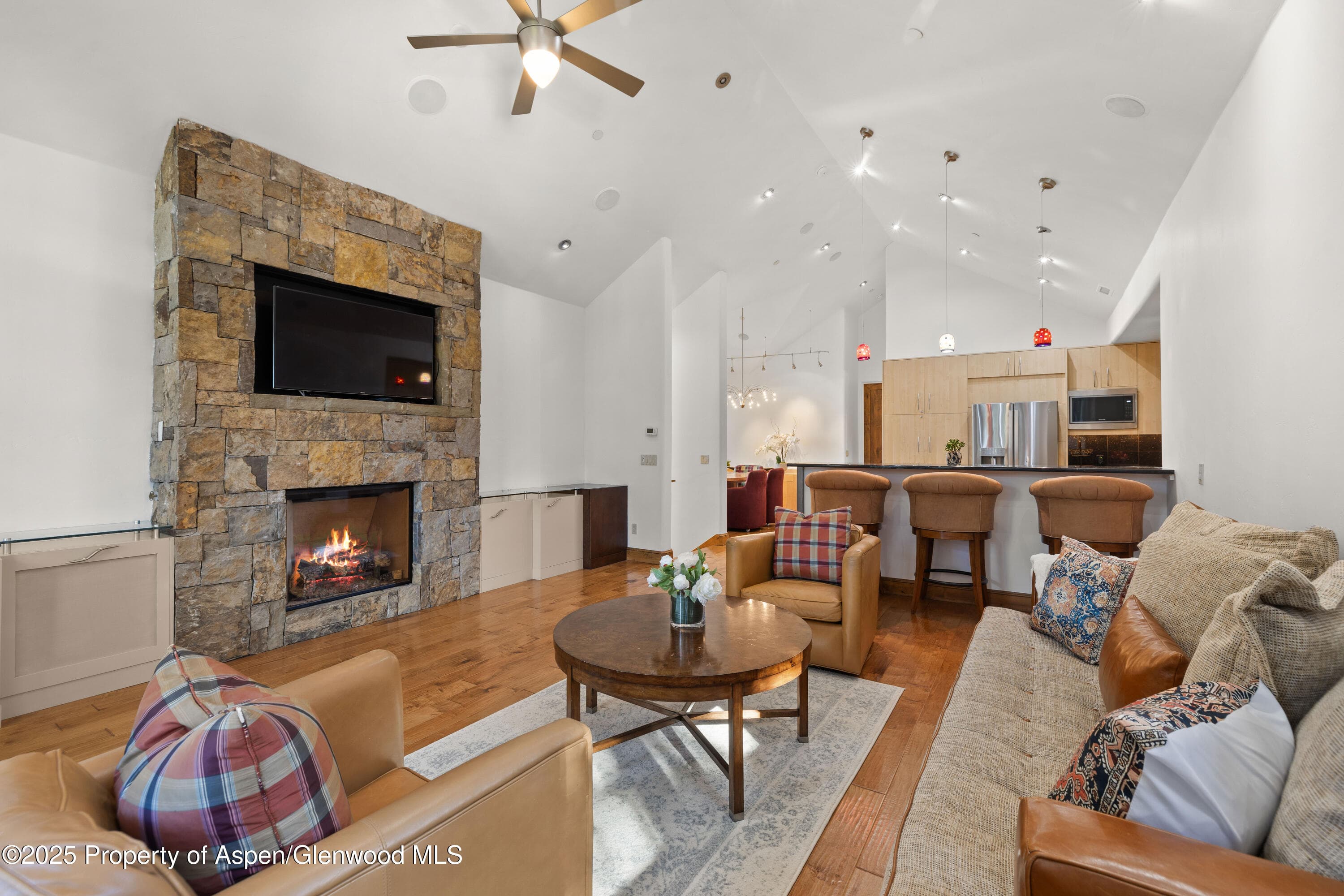 824 Bonita Drive, Aspen, CO 81611 - Photo 3