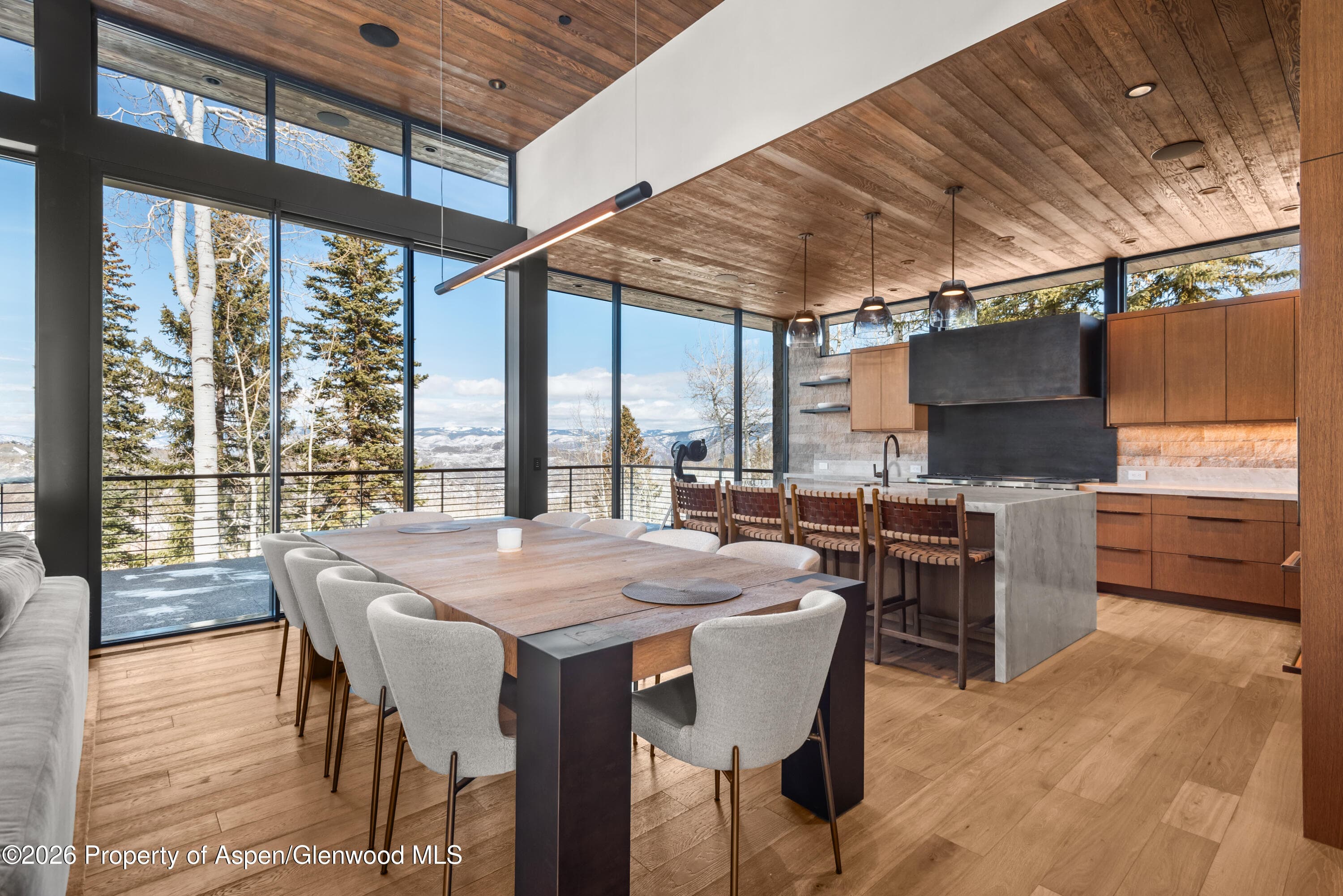 99 Forest Lane, Snowmass Village, CO 81615 - Photo 3