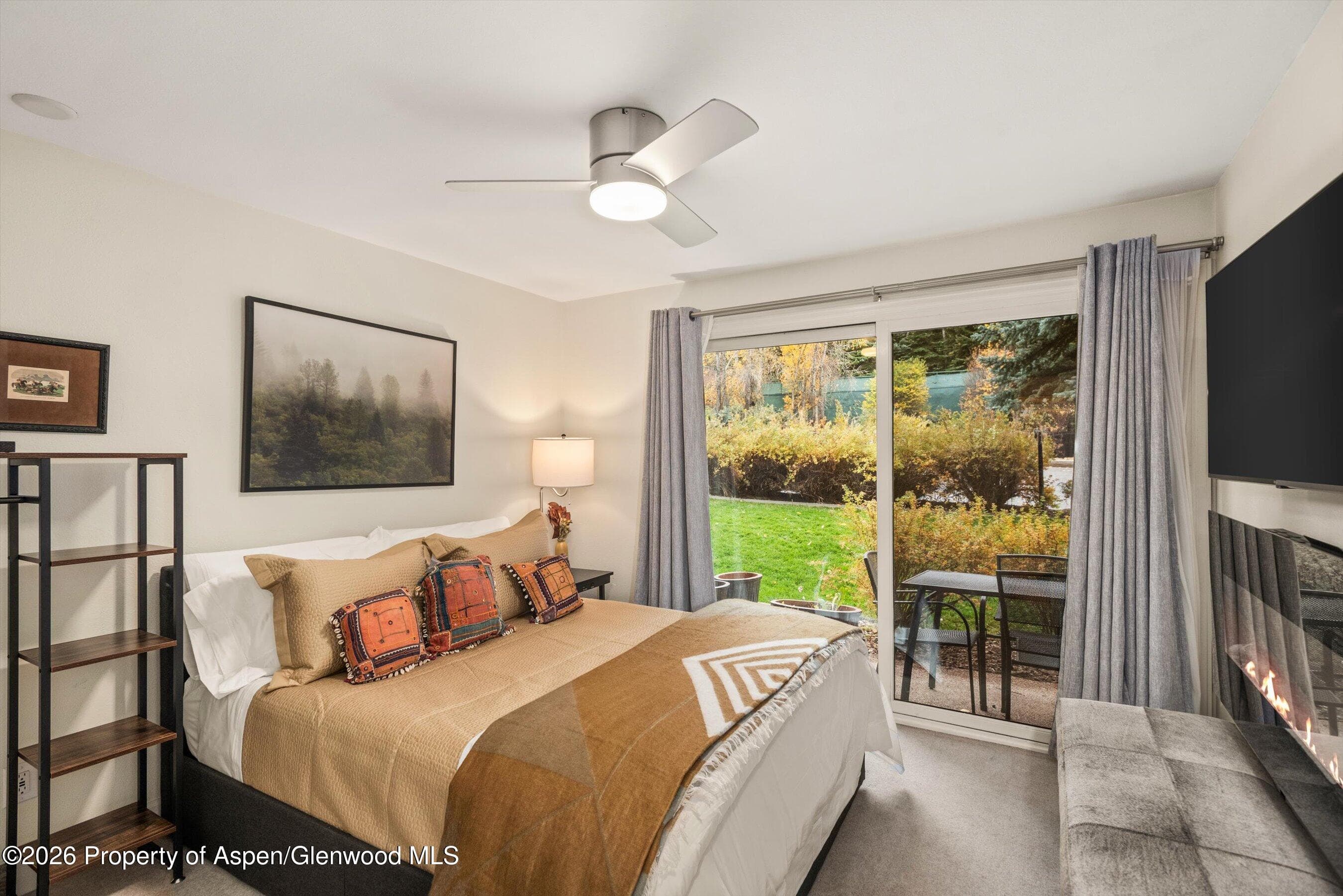 205 E Durant Avenue 1-B, Aspen, CO 81611 - Photo 7