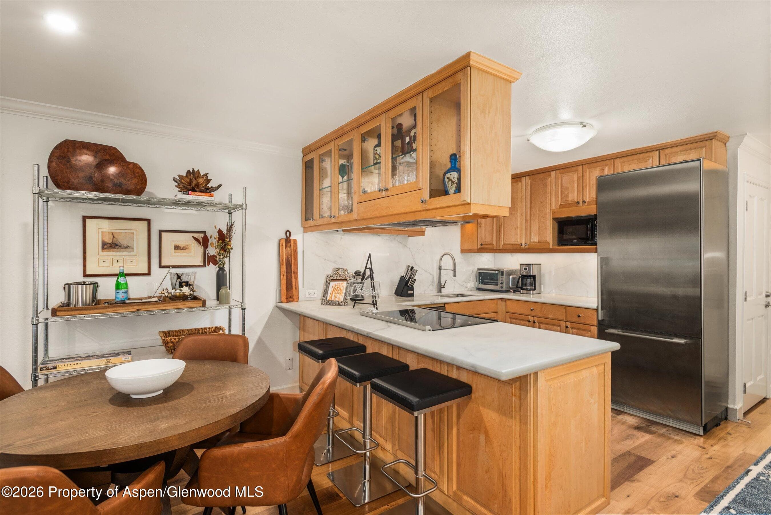 205 E Durant Avenue 1-B, Aspen, CO 81611 - Photo 4