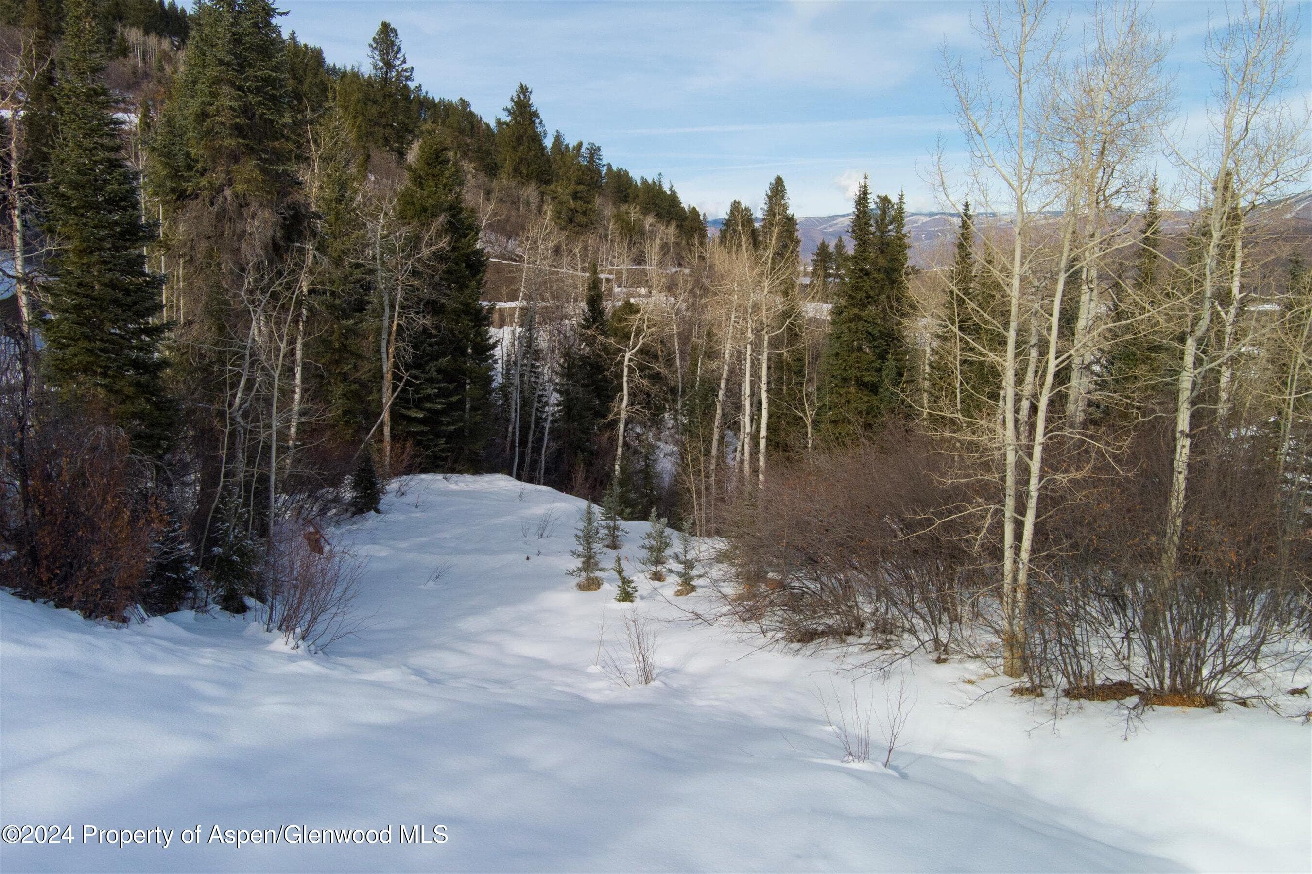 Tbd Pfister Drive, Aspen, CO 81611 - Photo 22