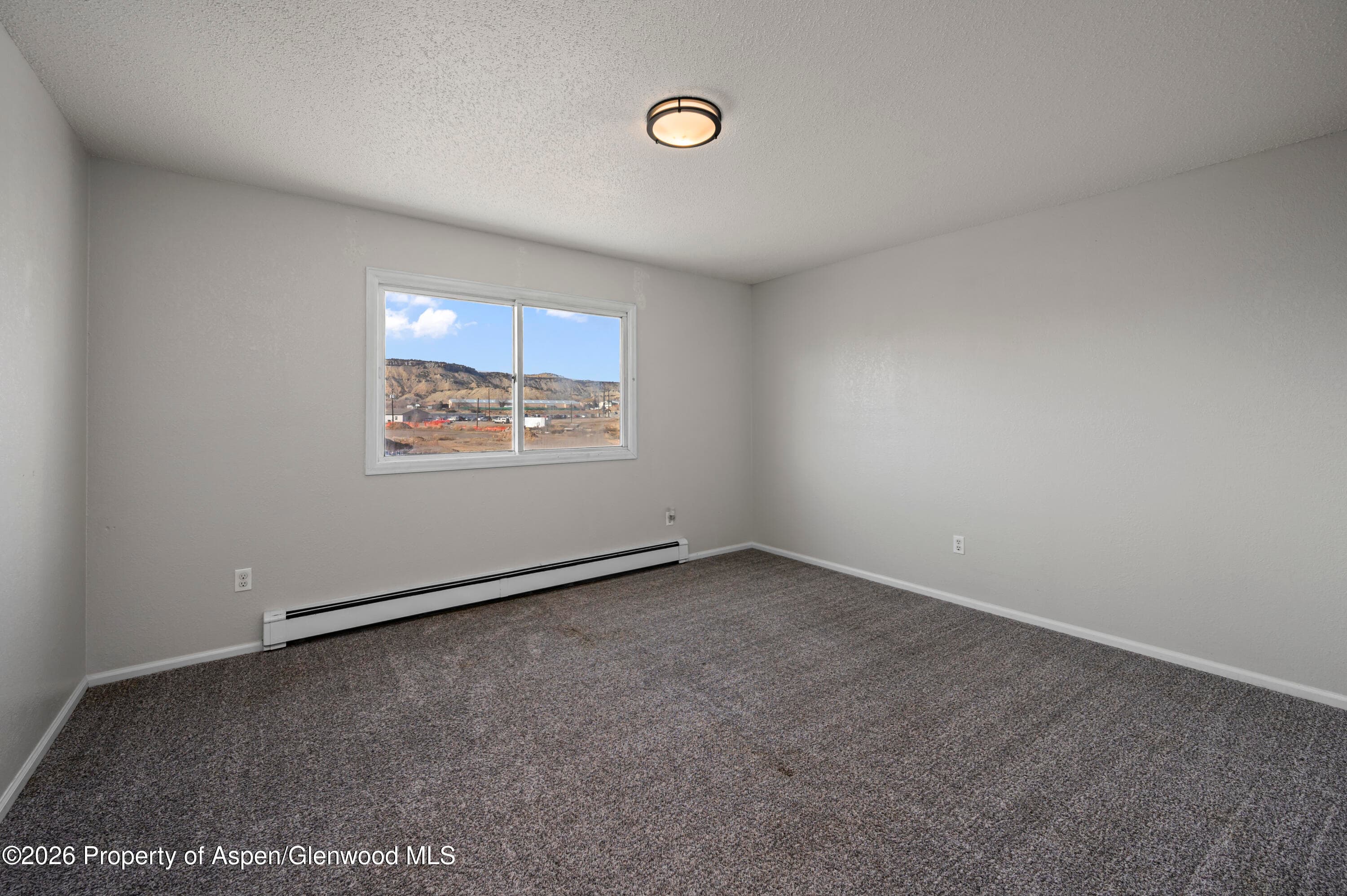 2019 Acacia Avenue, Rifle, CO 81650 - Photo 13