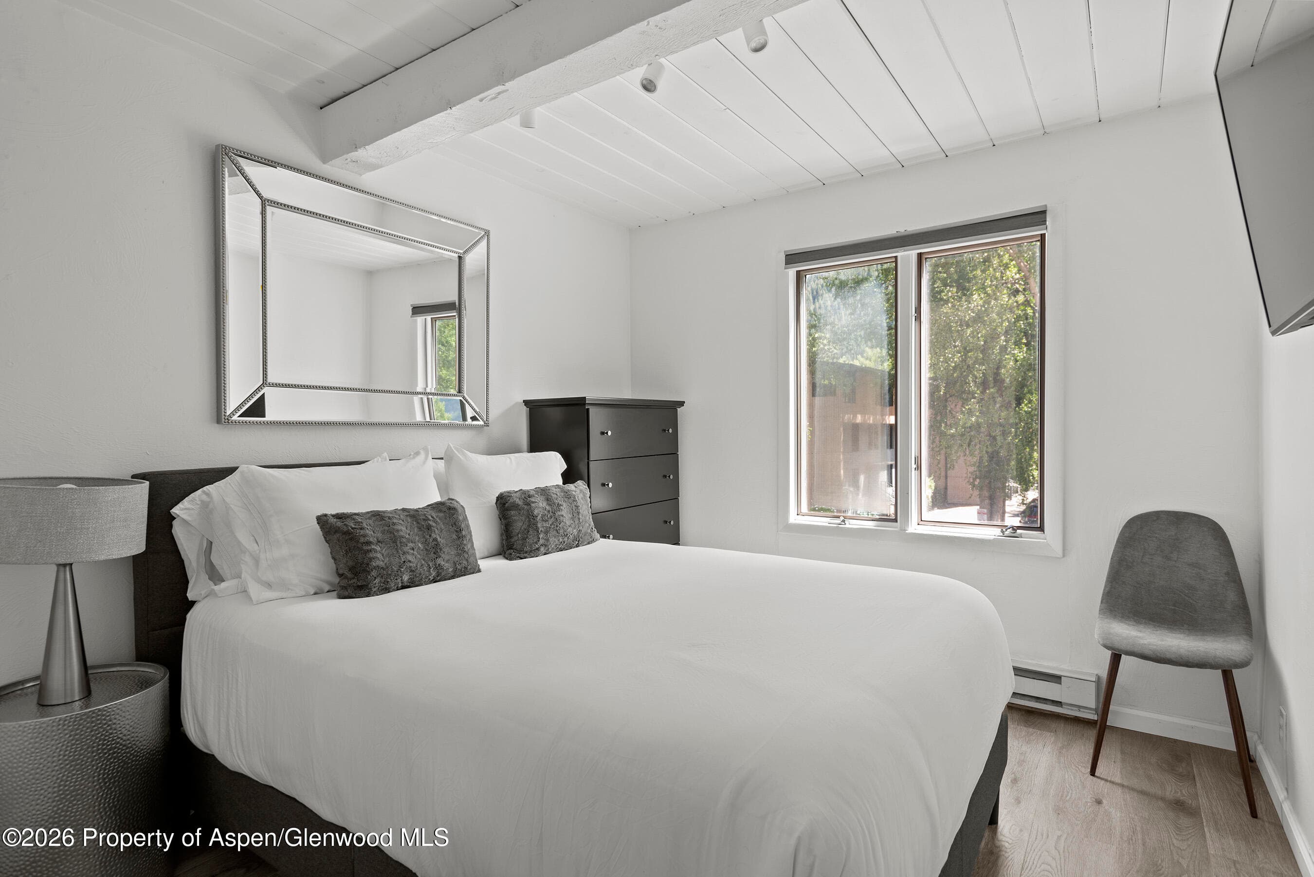 1024 E Cooper Avenue 2, Aspen, CO 81611 - Photo 19