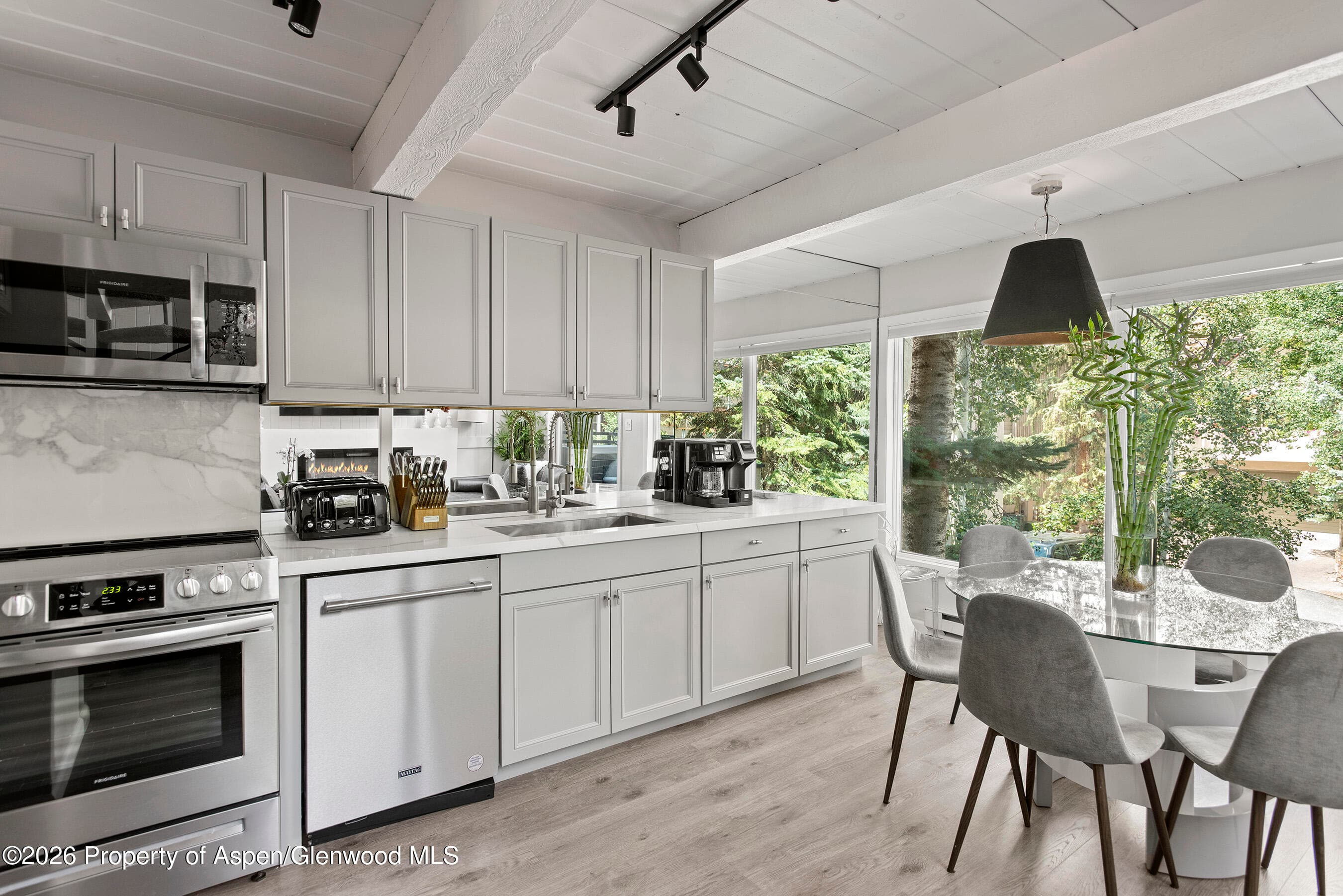 1024 E Cooper Avenue 2, Aspen, CO 81611 - Photo 13