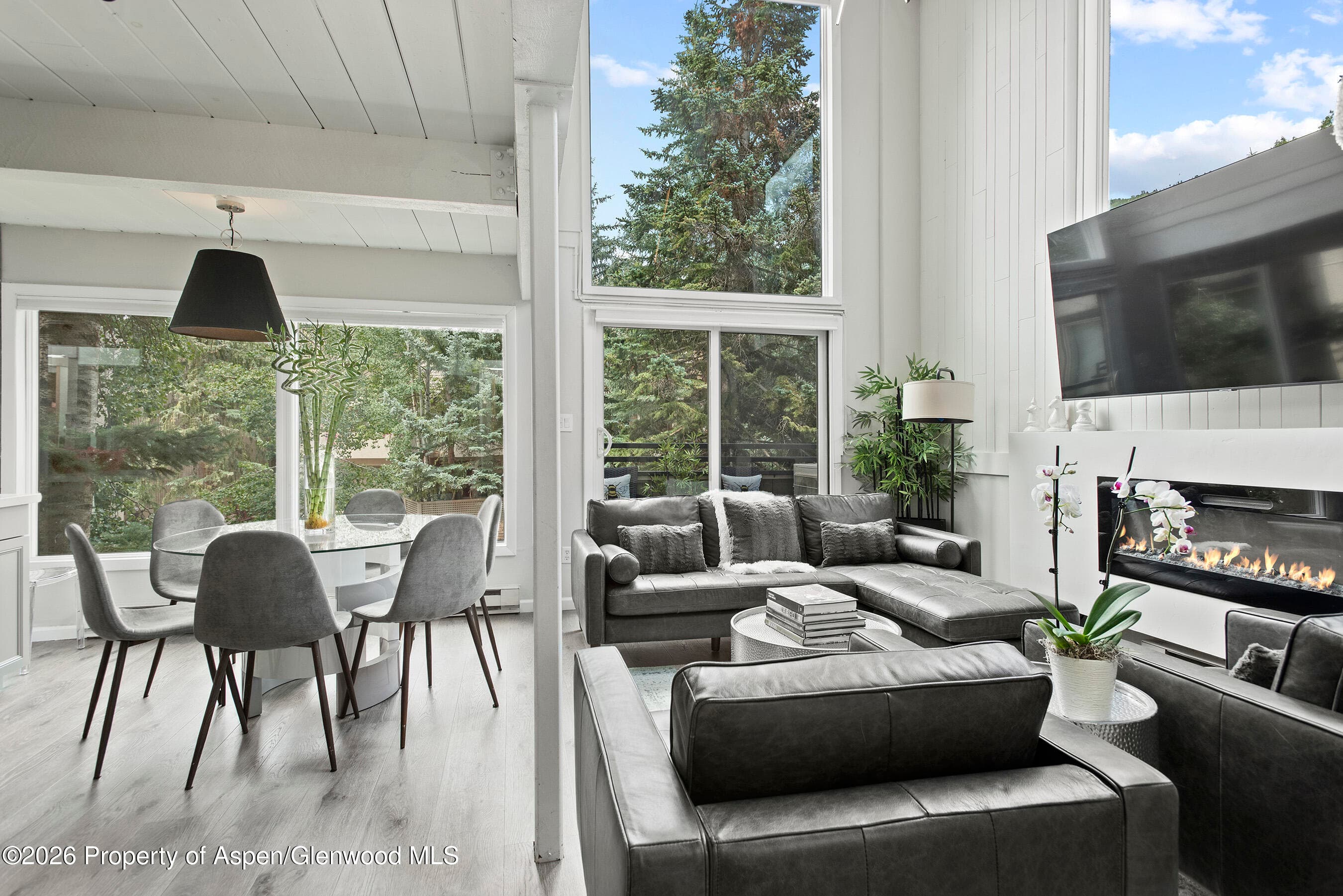 1024 E Cooper Avenue 2, Aspen, CO 81611 - Photo 1