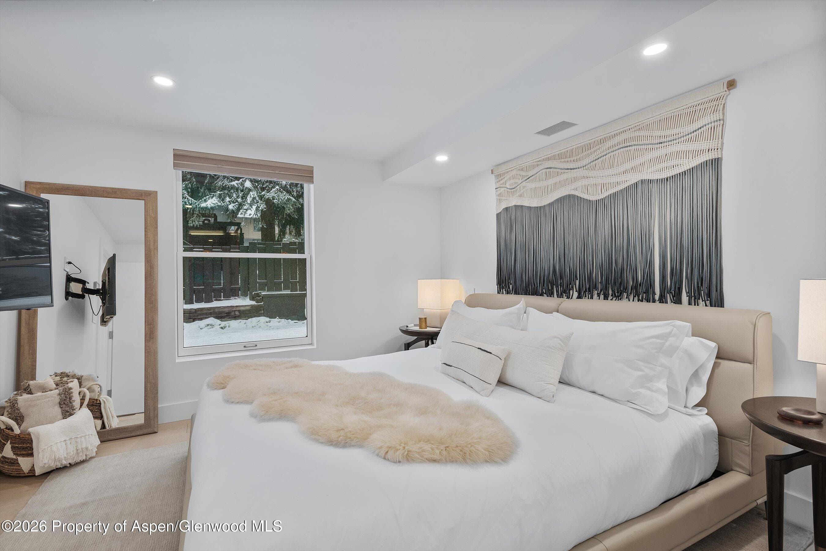1001 E Cooper Avenue 1, Aspen, CO 81611 - Photo 13