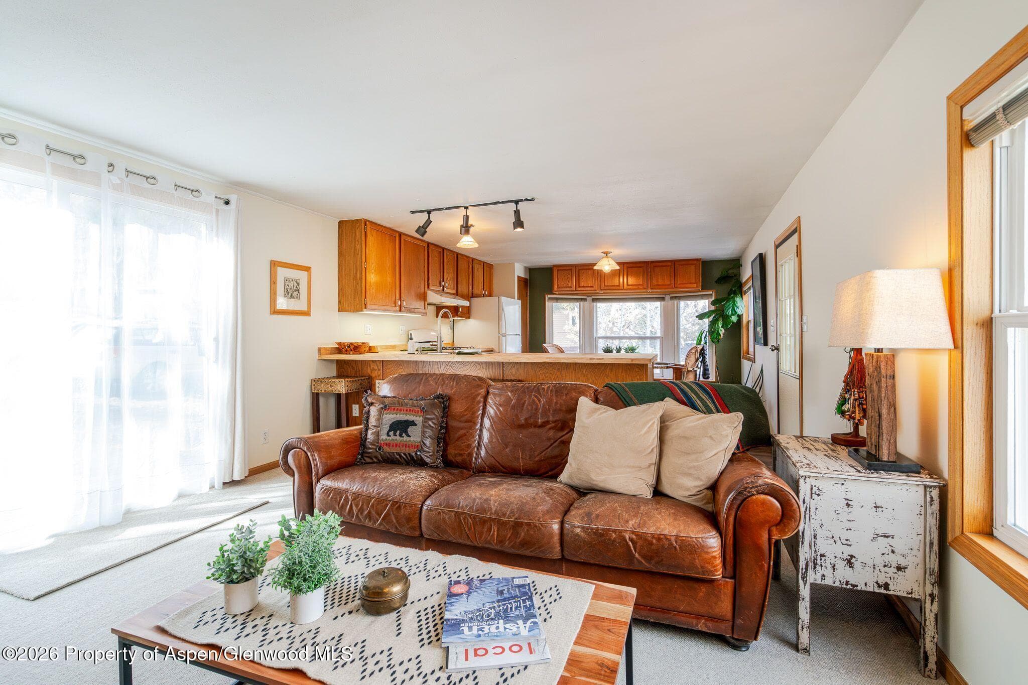 137 Ridge Trail, Aspen, CO 81611 - Photo 4
