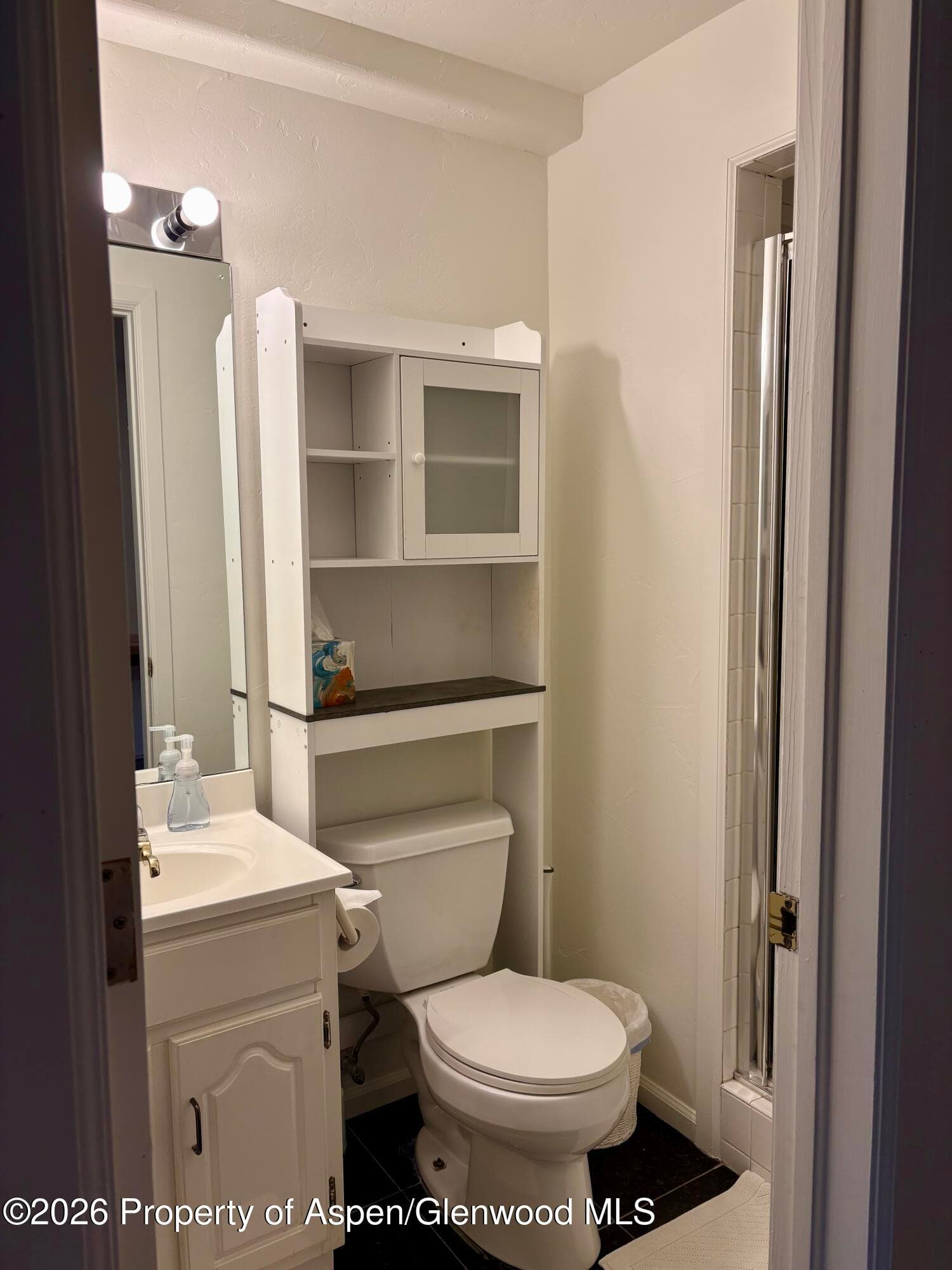 426 E Hyman, Aspen, CO 81611 - Photo 11