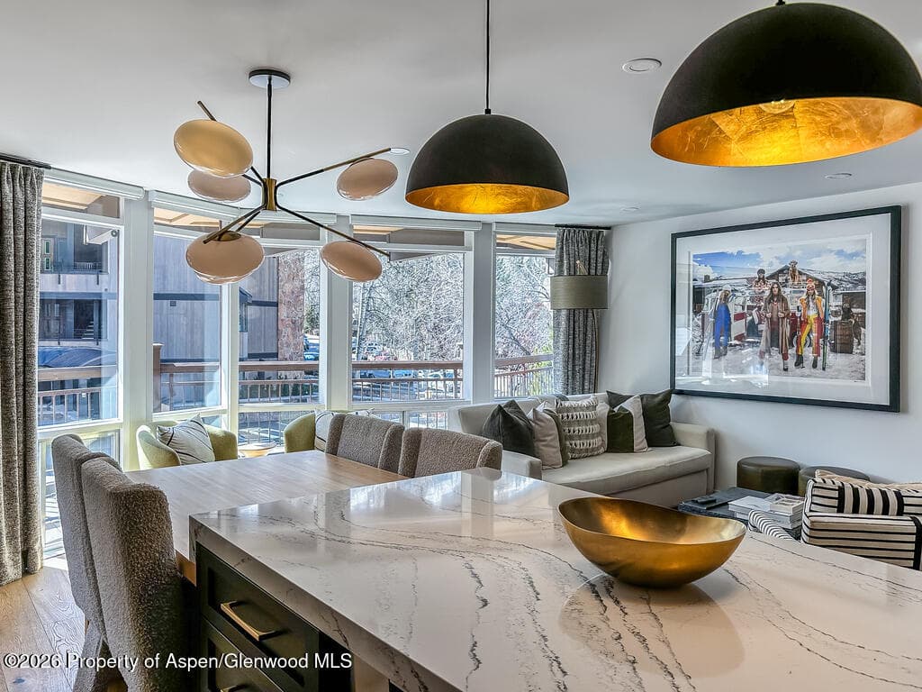 803 E Durant Avenue 8, Aspen, CO 81611 - Photo 12