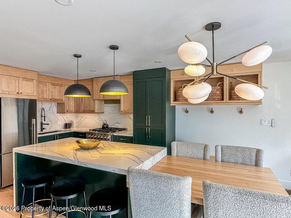 803 E Durant Avenue 8, Aspen, CO 81611 - Photo 7