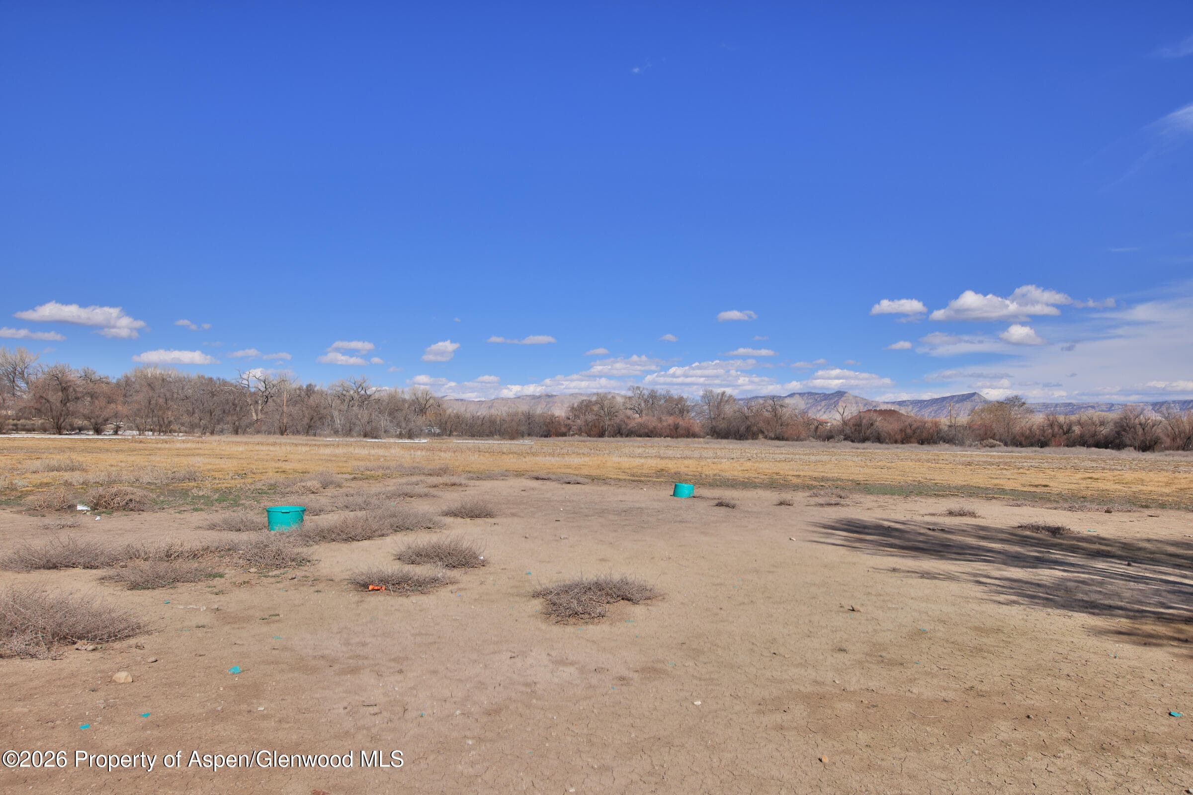 1537 19 Road, Fruita, CO 81521 - Photo 24