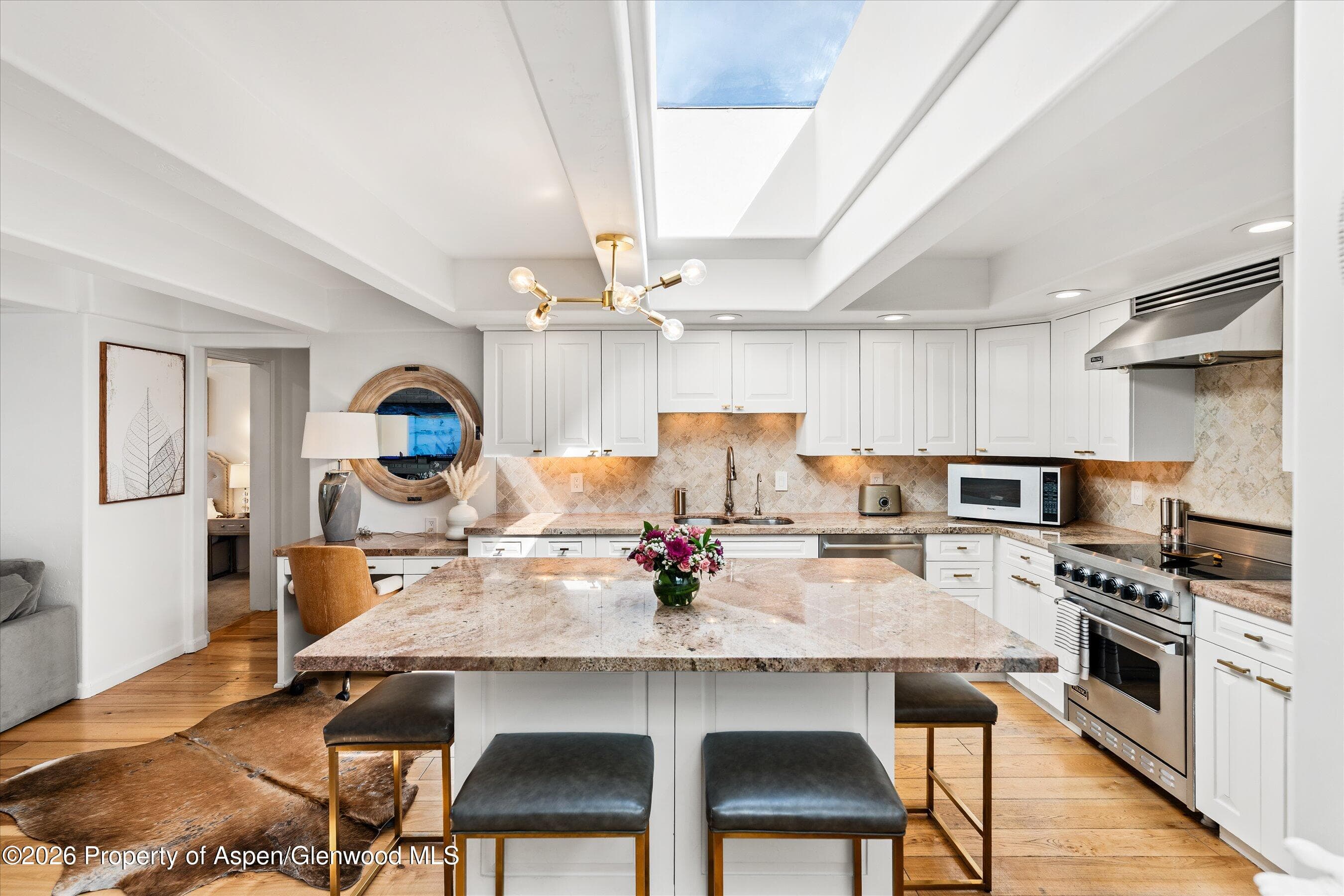 901 E Hyman Avenue 11, Aspen, CO 81611 - Photo 3