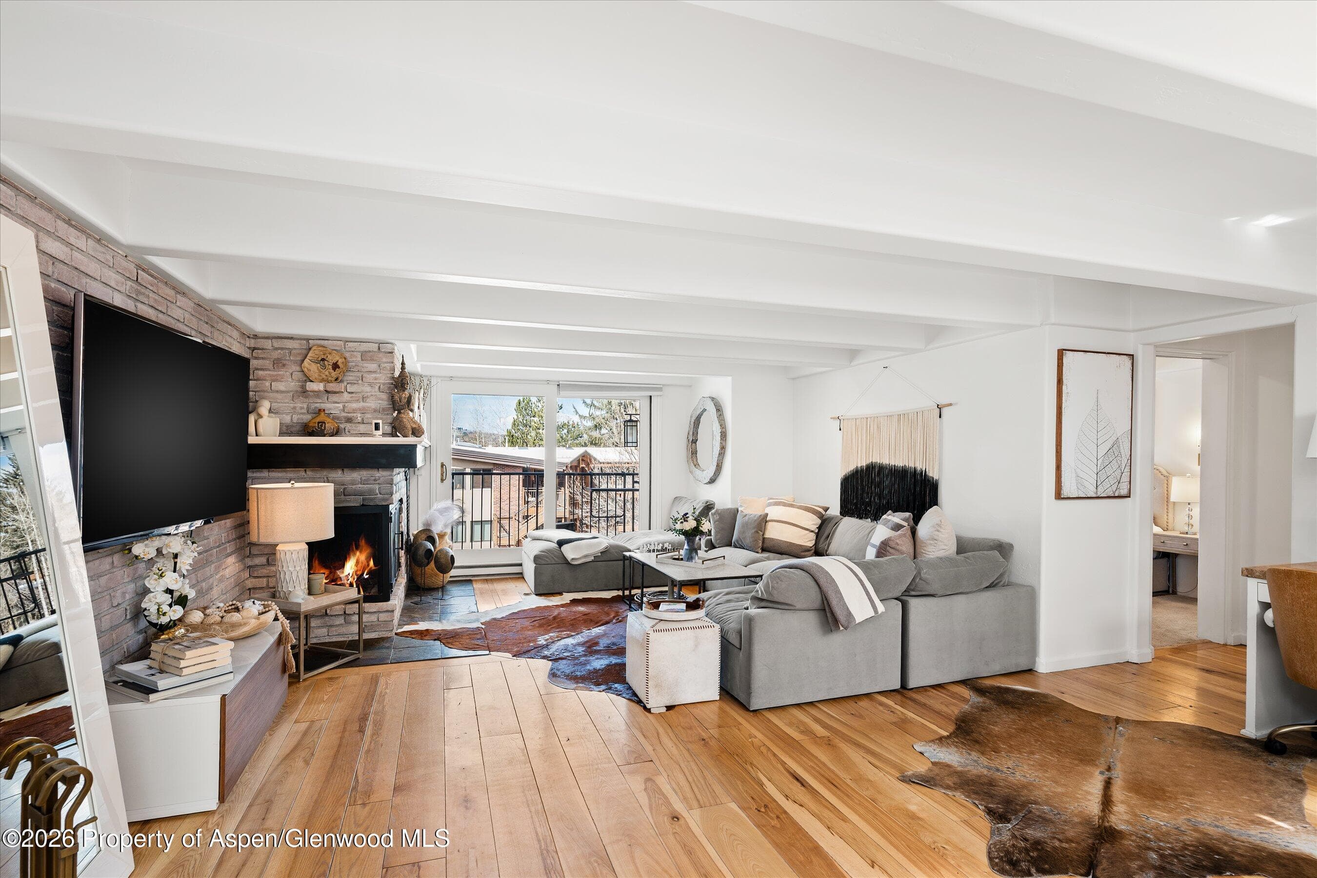 901 E Hyman Avenue 11, Aspen, CO 81611 - Photo 4