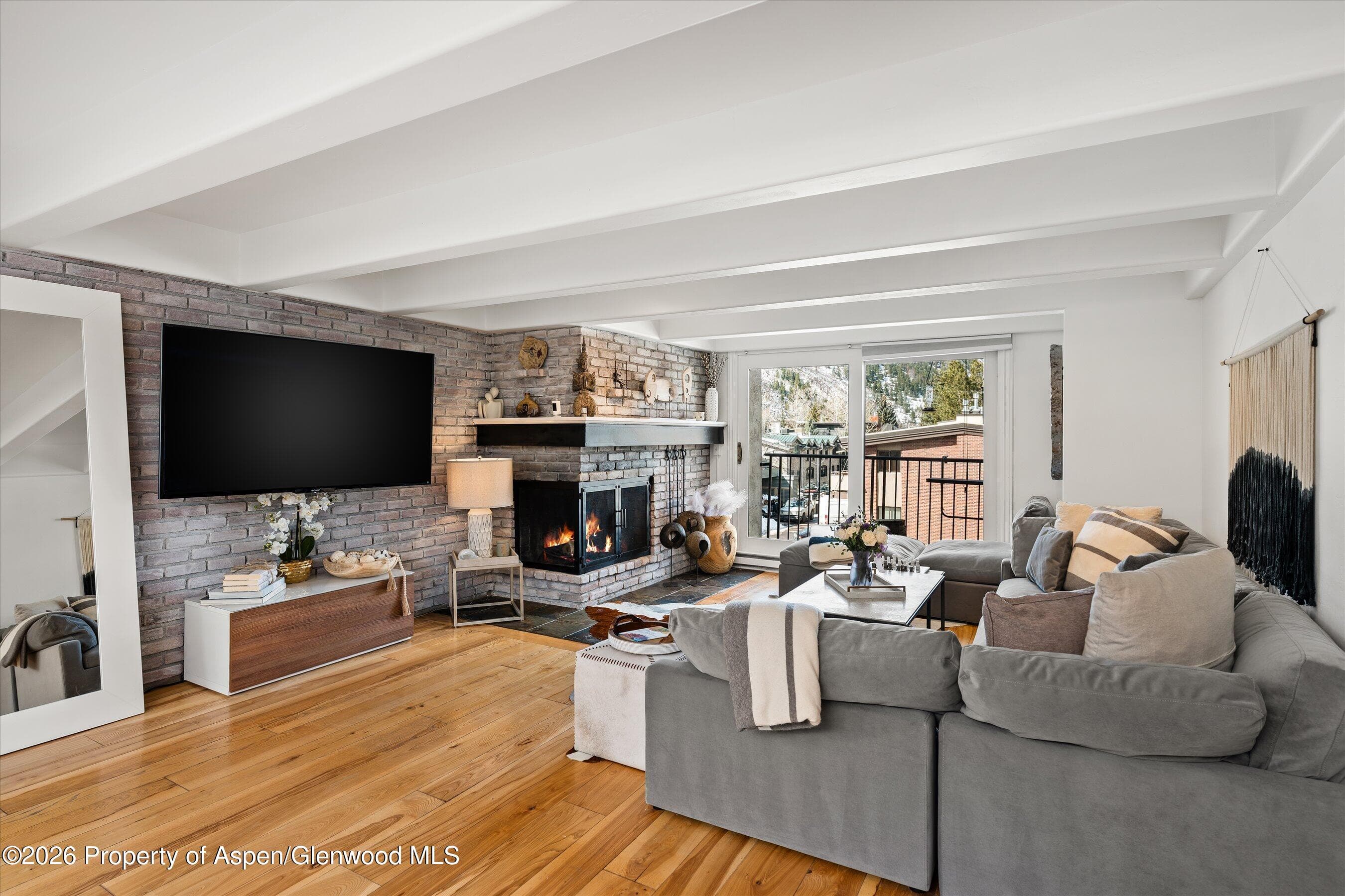 901 E Hyman Avenue 11, Aspen, CO 81611 - Photo 5