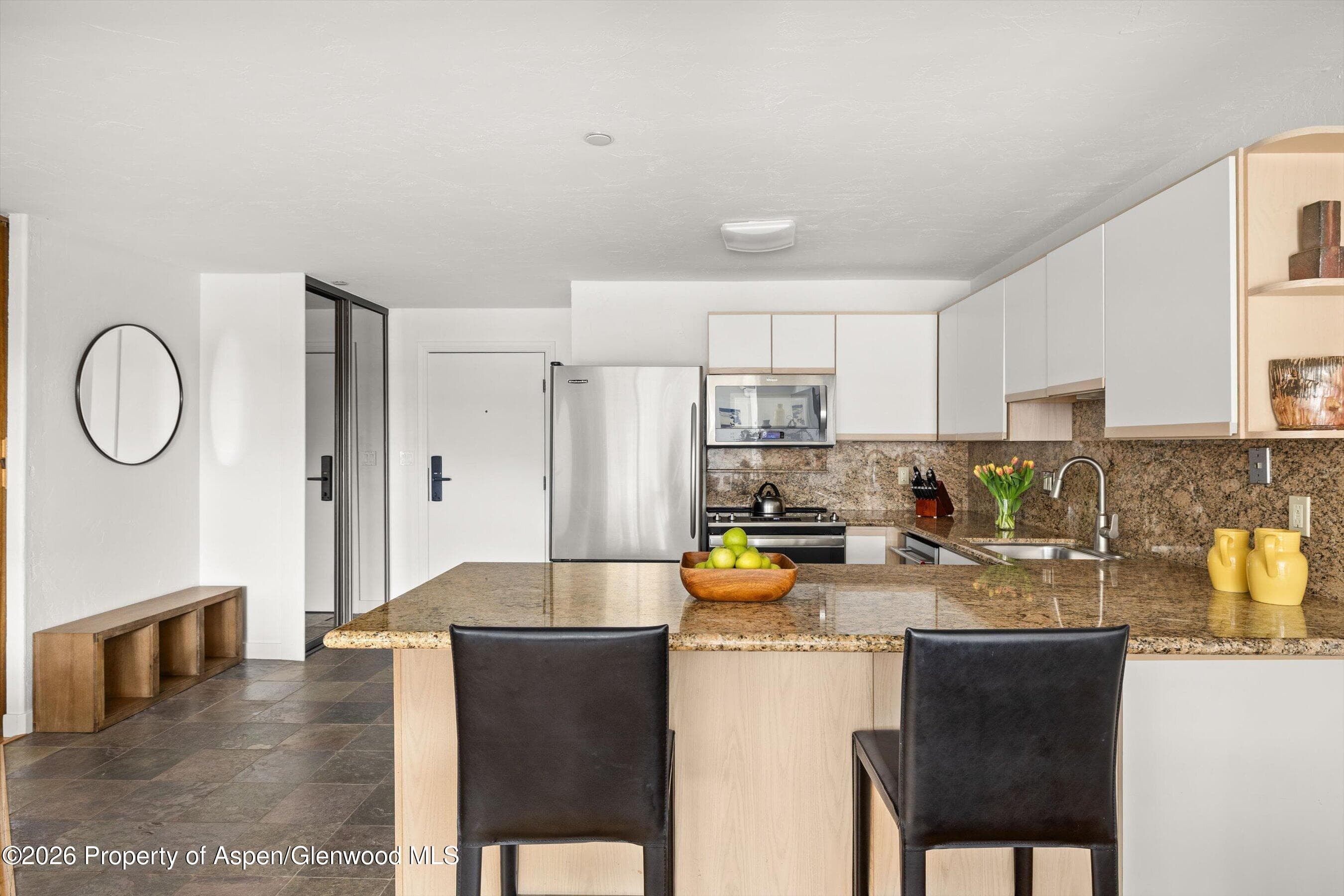 555 E Durant Avenue 2c, Aspen, CO 81611 - Photo 7
