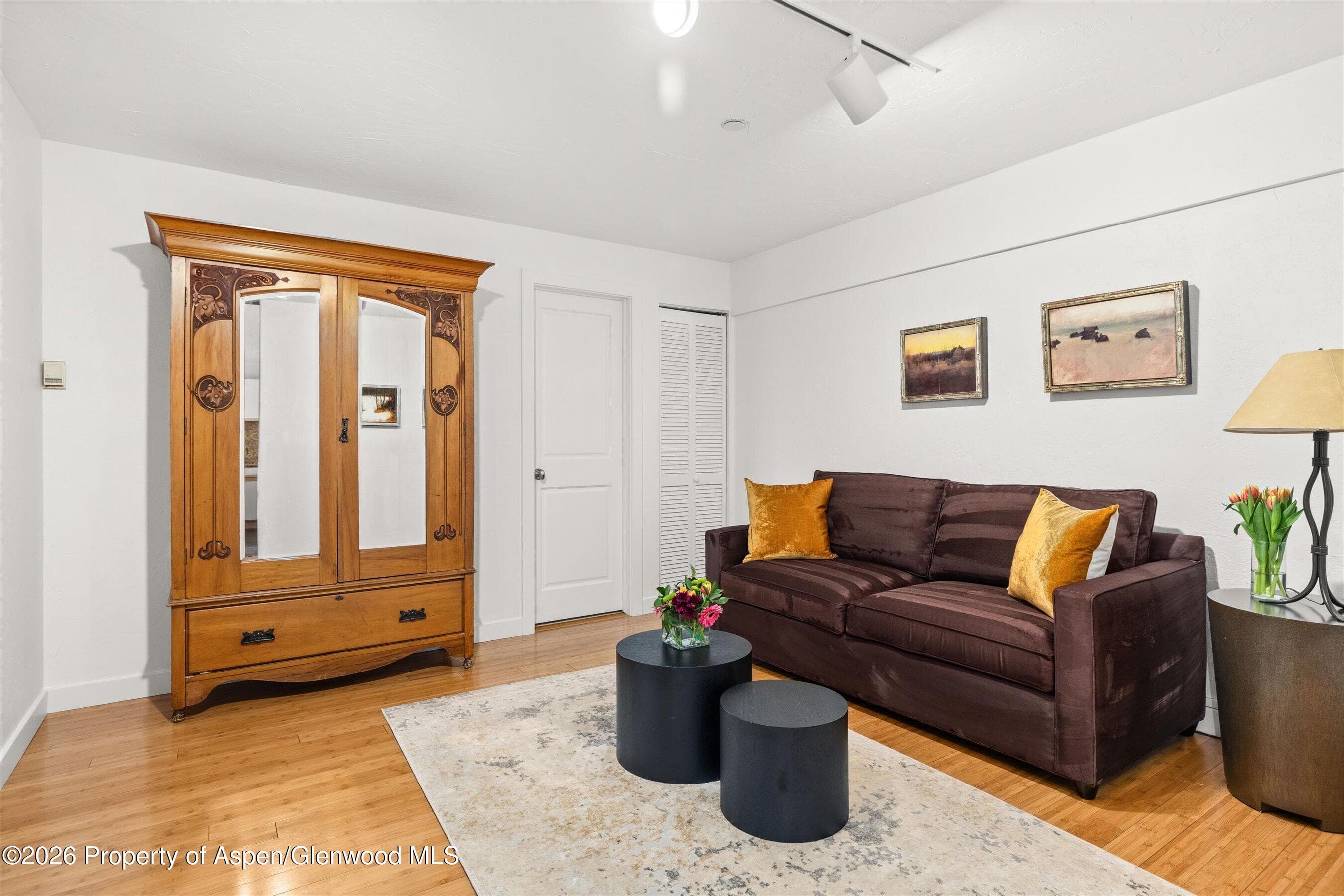 555 E Durant Avenue 2c, Aspen, CO 81611 - Photo 9