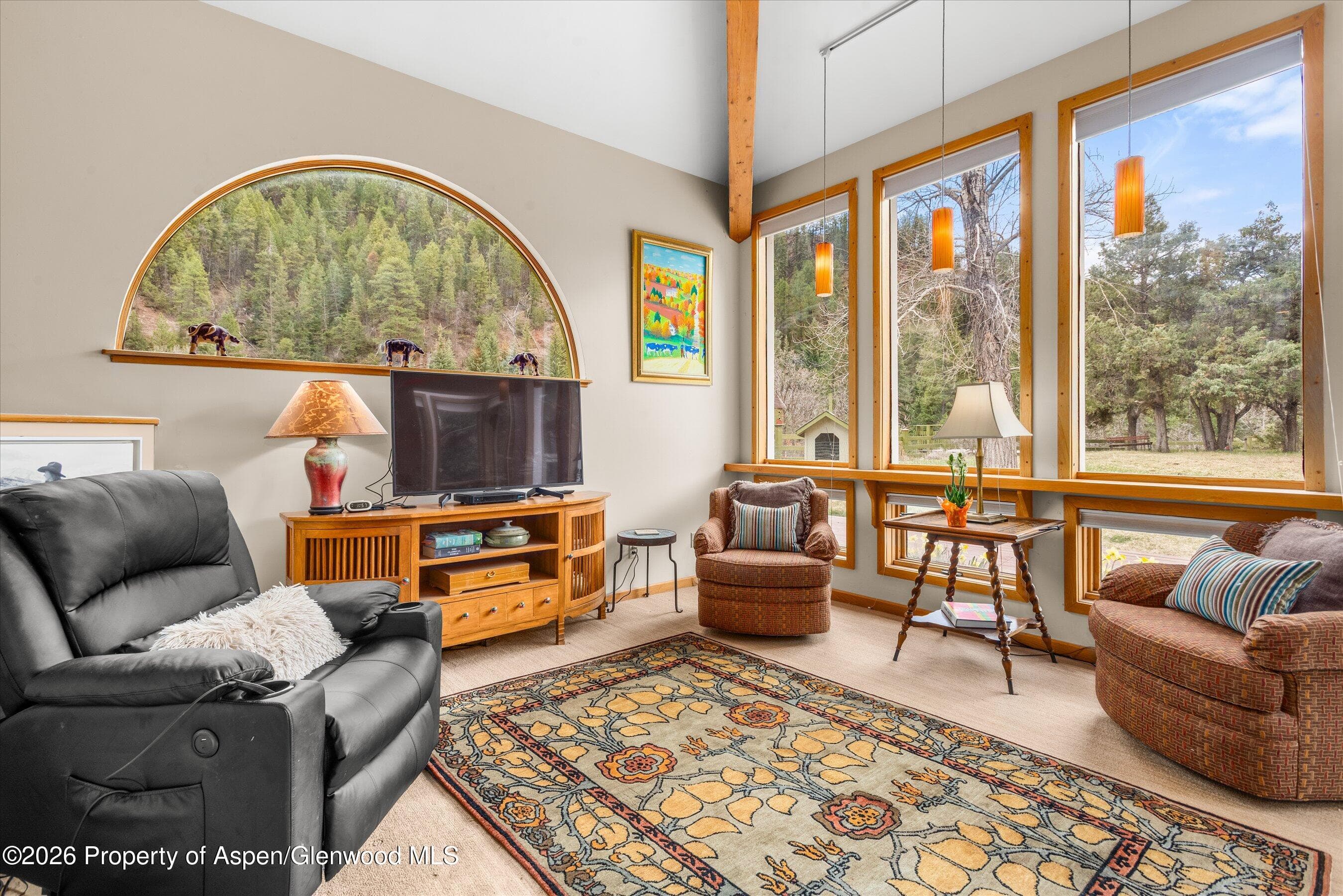 144 Crystal Park Drive, Redstone, CO 81623 - Photo 8