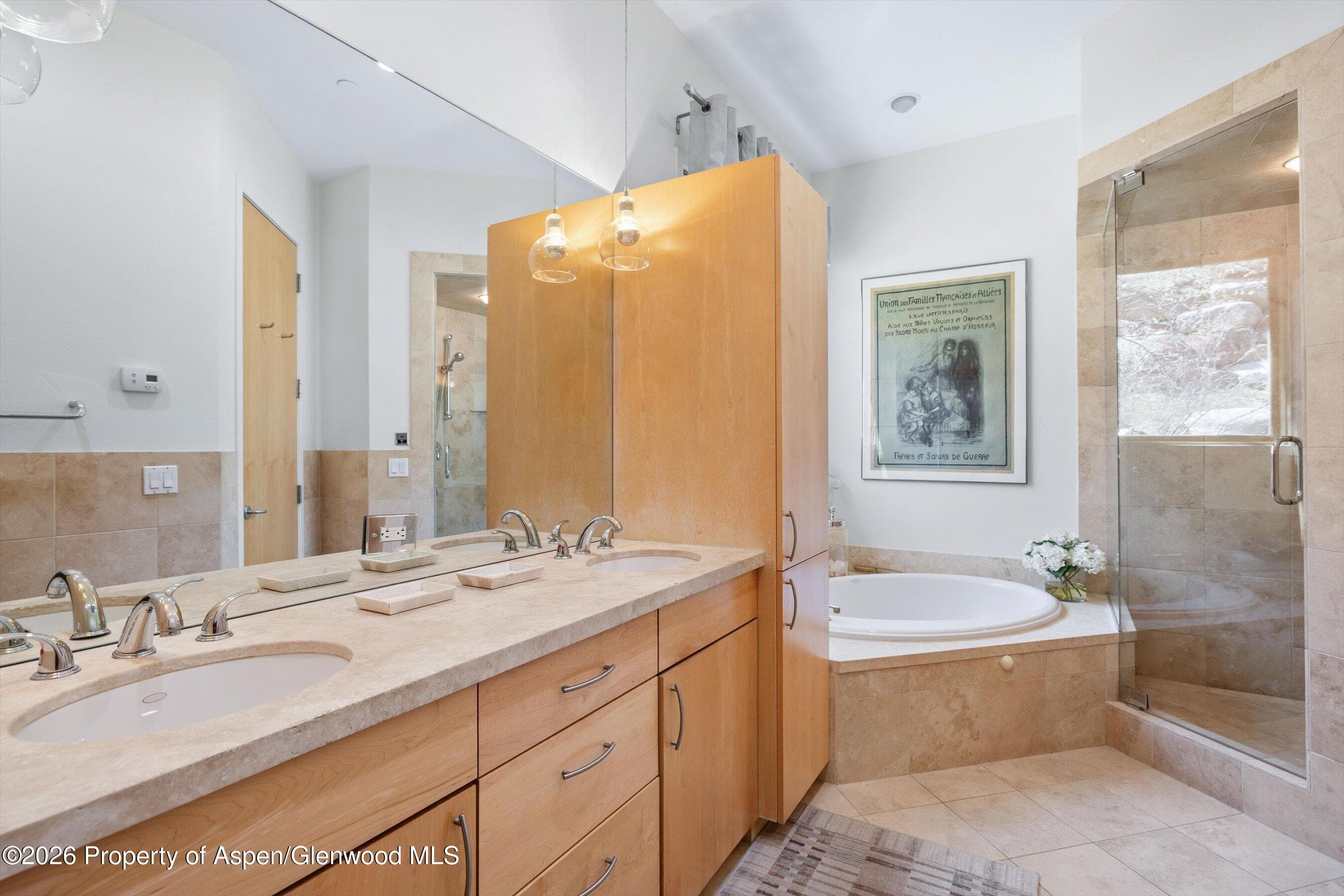 250 Mountain Laurel Drive A, Aspen, CO 81611 - Photo 9
