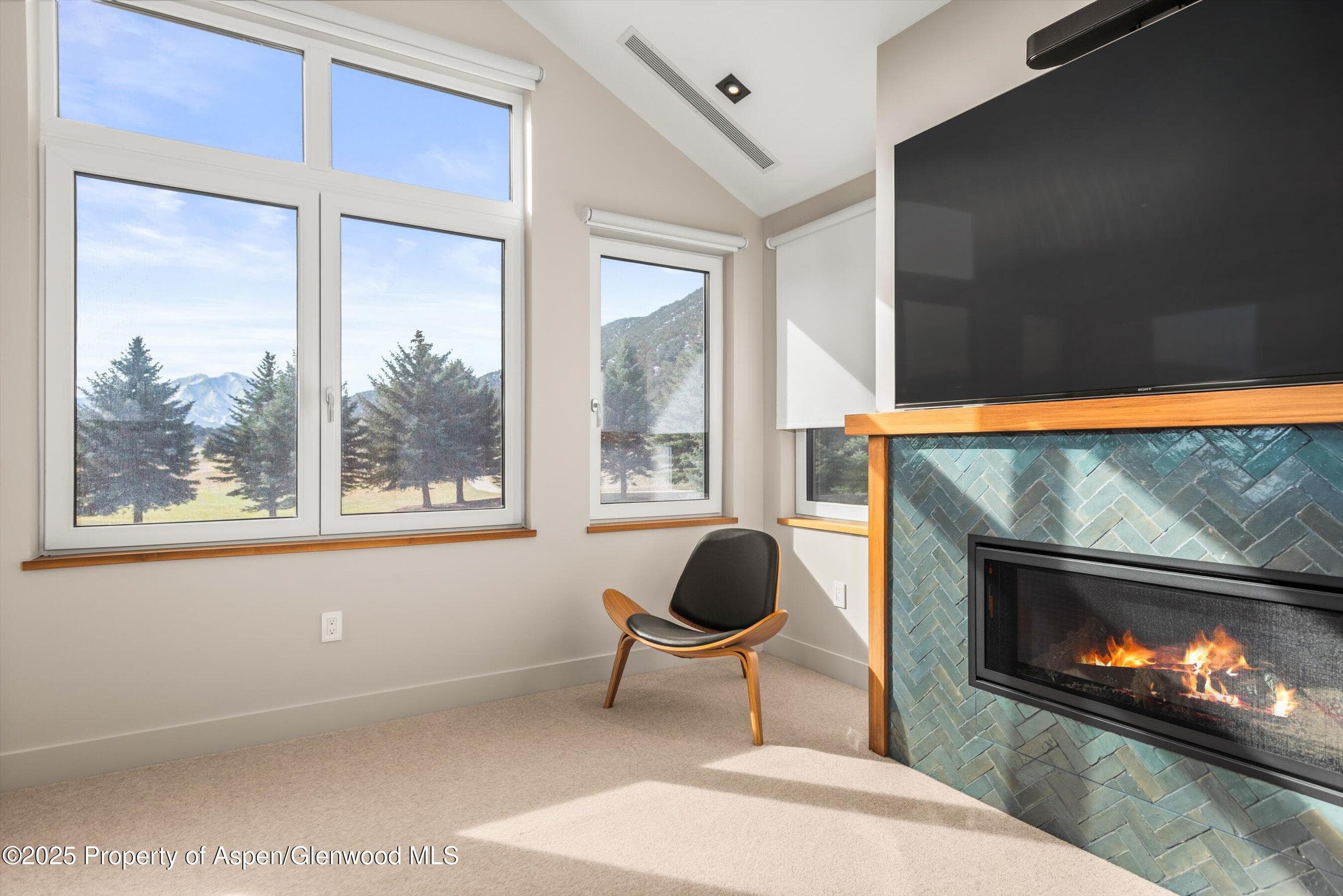 649 Saddleback Road, Carbondale, CO 81623 - Photo 23