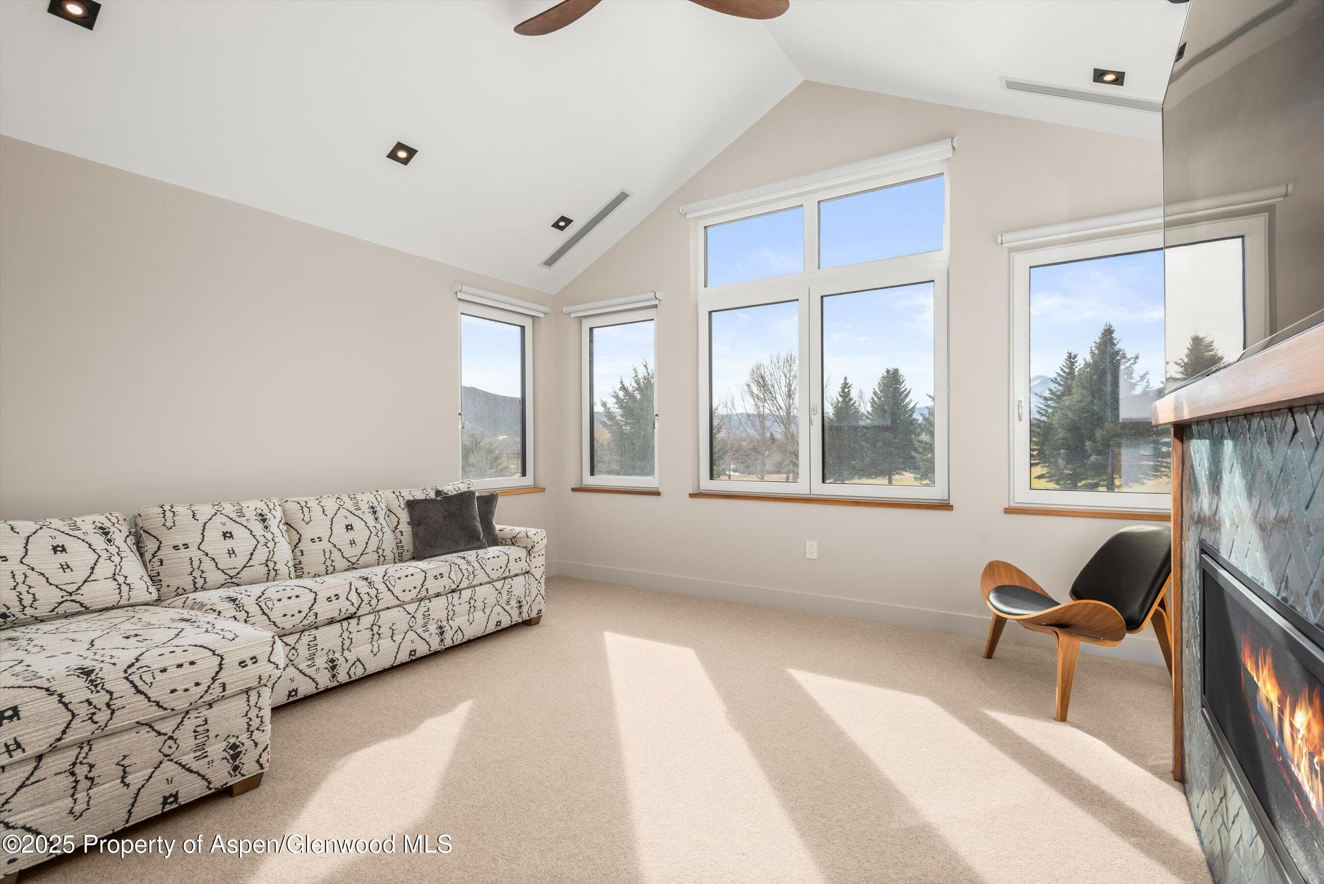 649 Saddleback Road, Carbondale, CO 81623 - Photo 24
