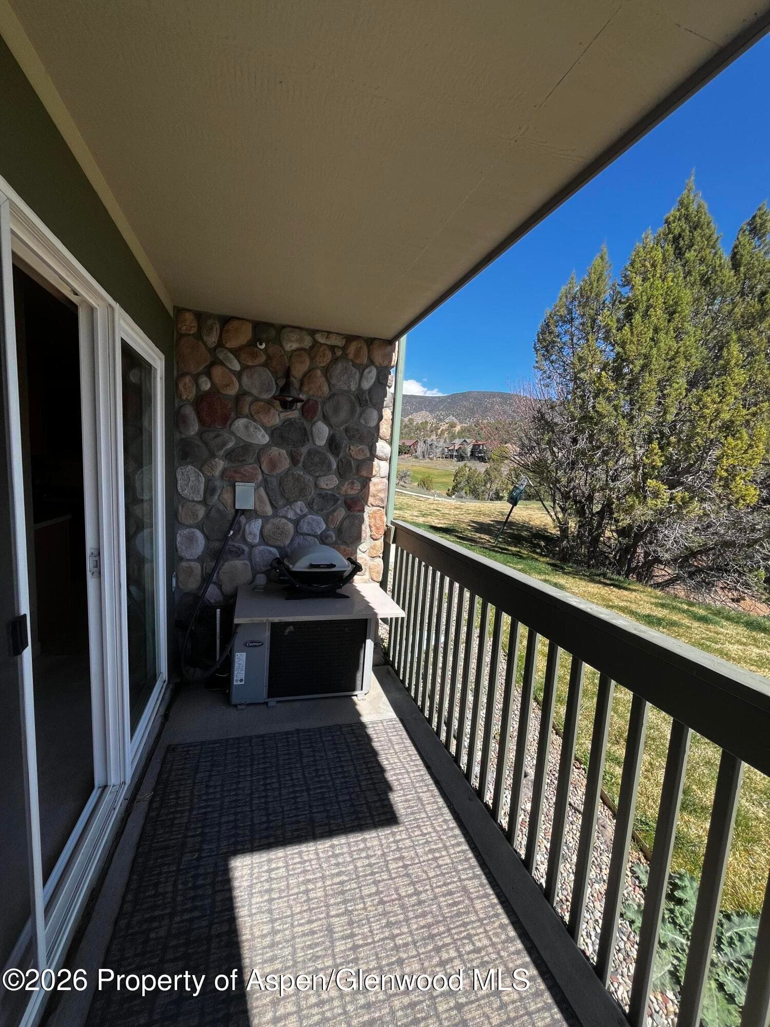 790 Castle Valley Boulevard C, New Castle, CO 81647 - Photo 6