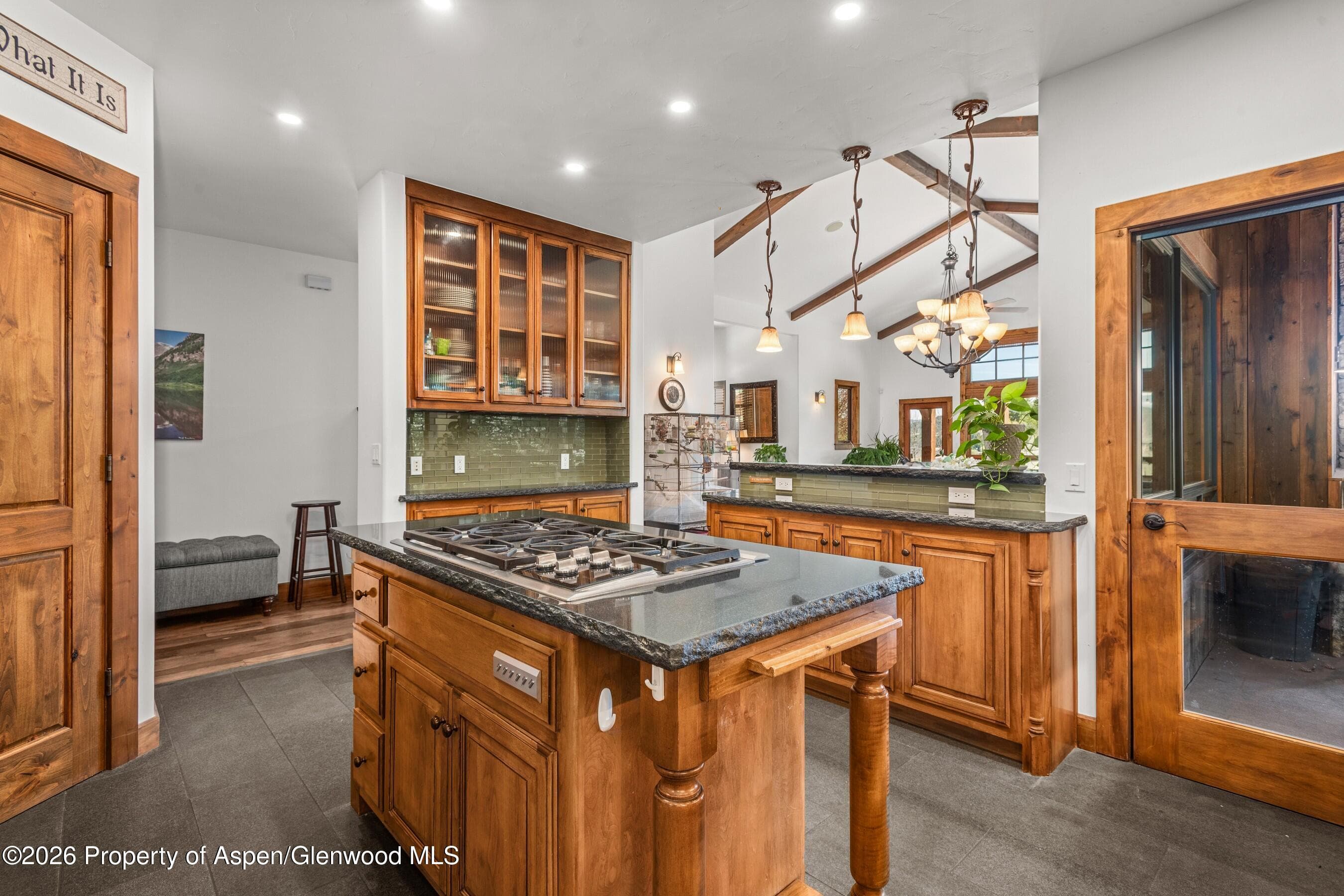 104 Sopris Mesa Drive, Carbondale, CO 81623 - Photo 18
