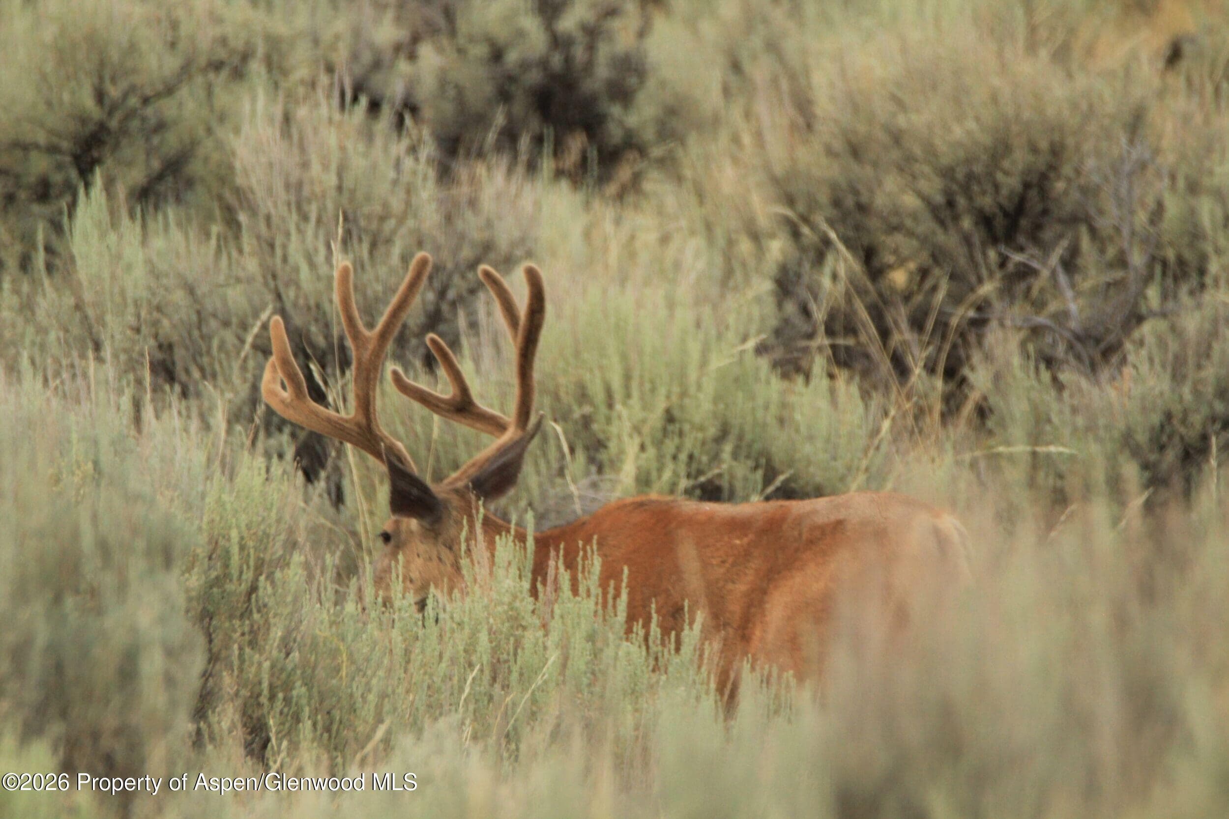 Tbd Highway 40, Craig, CO 81625 - Photo 10