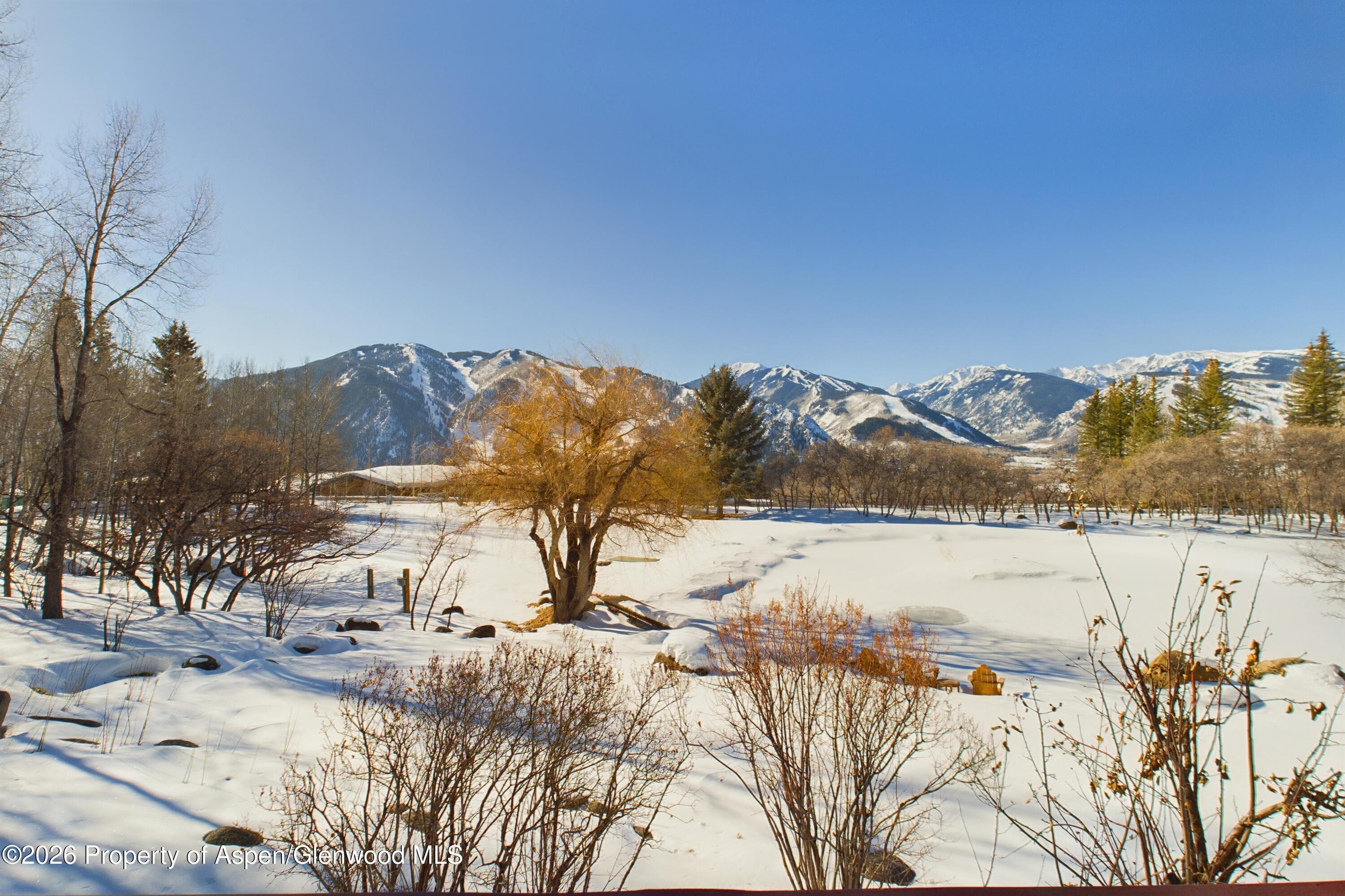 209 E Reds Road, Aspen, CO 81611 - Photo 20