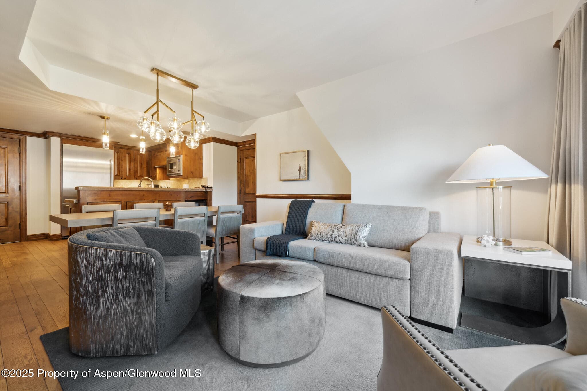 415 E Dean St, Unit 48, Week 8, Aspen, CO 81611 - Photo 6