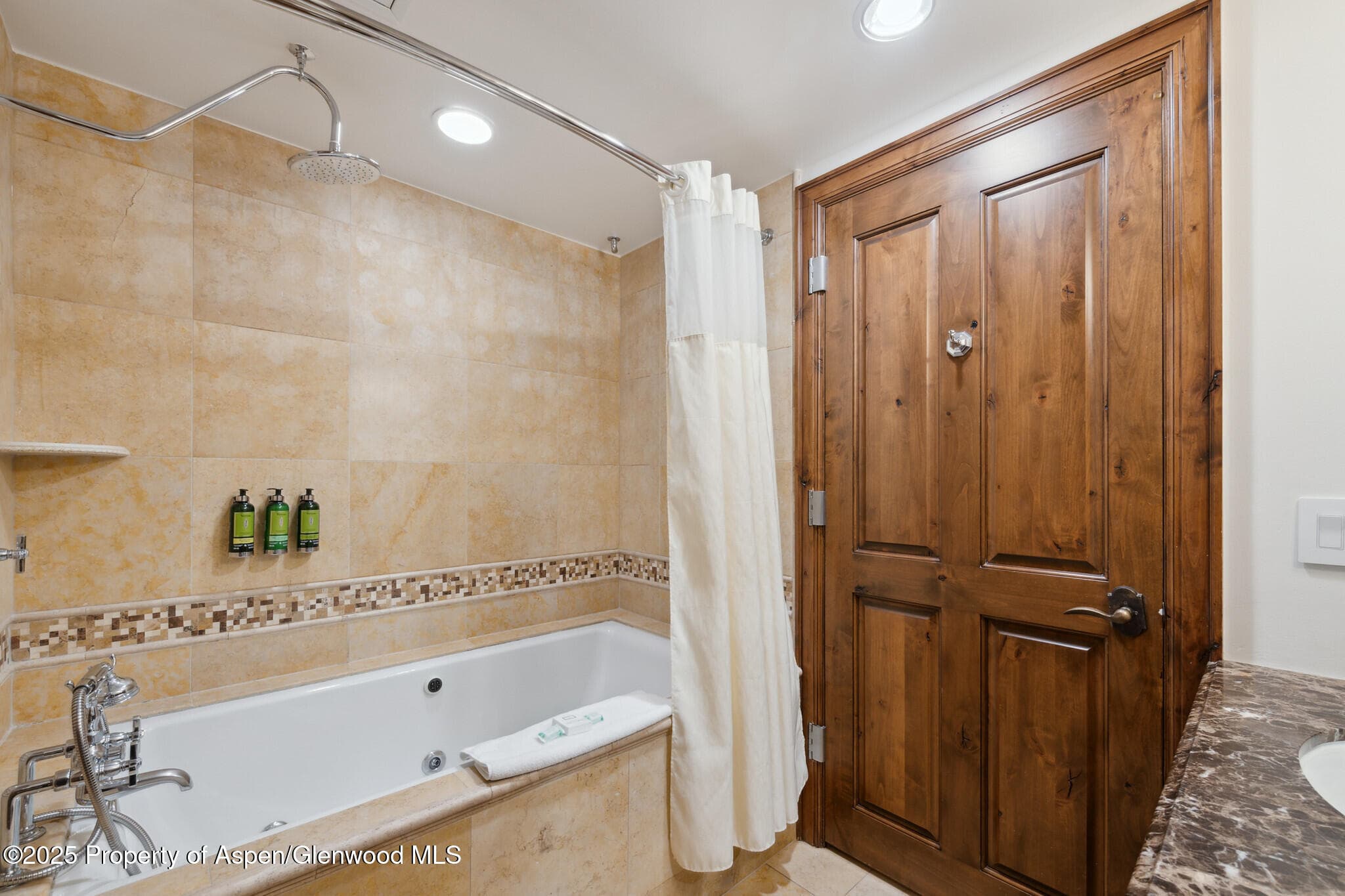 415 E Dean St, Unit 48, Week 8, Aspen, CO 81611 - Photo 16
