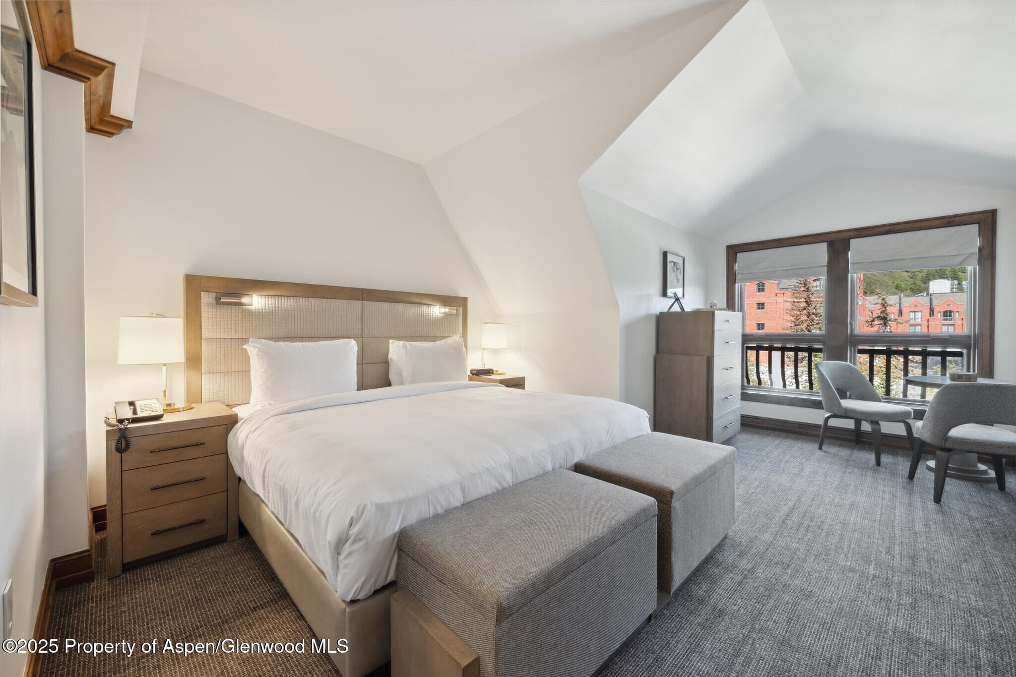 415 E Dean St, Unit 48, Week 8, Aspen, CO 81611 - Photo 23