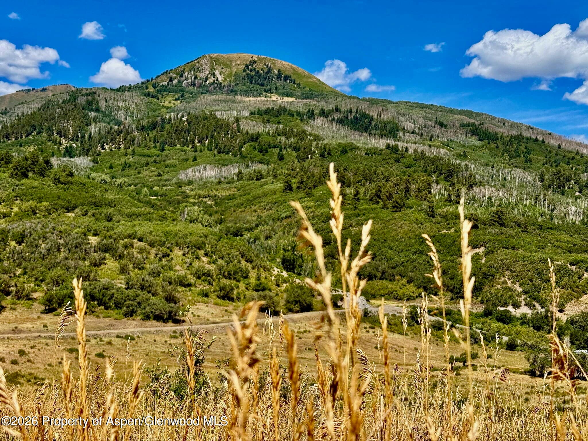 1368 Cr 124, Durango, CO 81301 - Photo 4