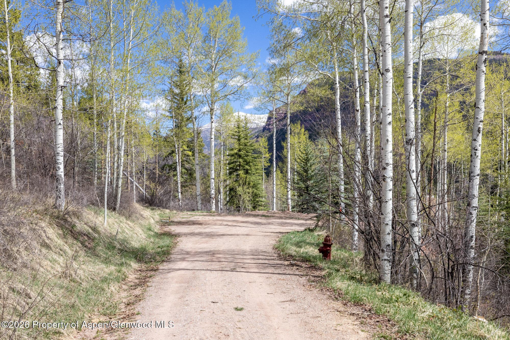 Tbd Bear Creek Lane, Redstone, CO 81623 - Photo 6