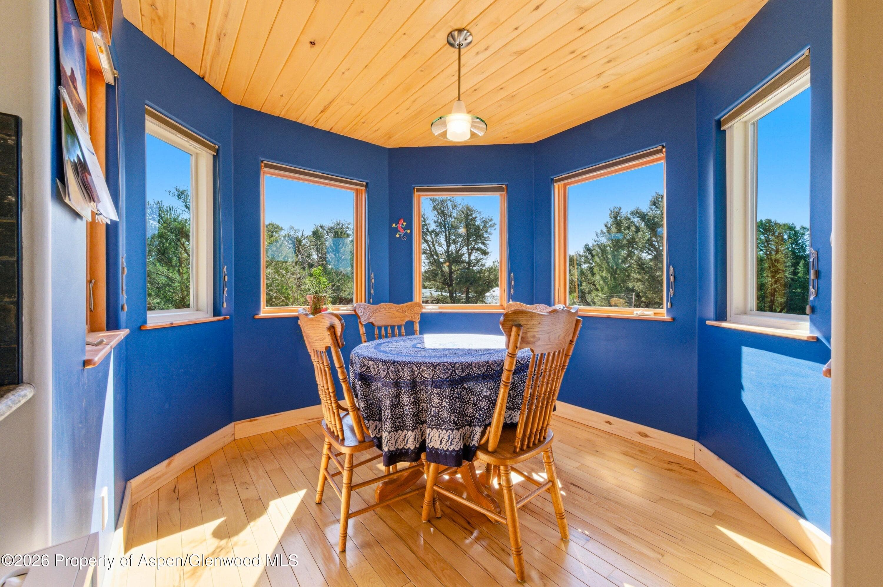 2873 County Road 1, Cotopaxi, CO 81223 - Photo 17