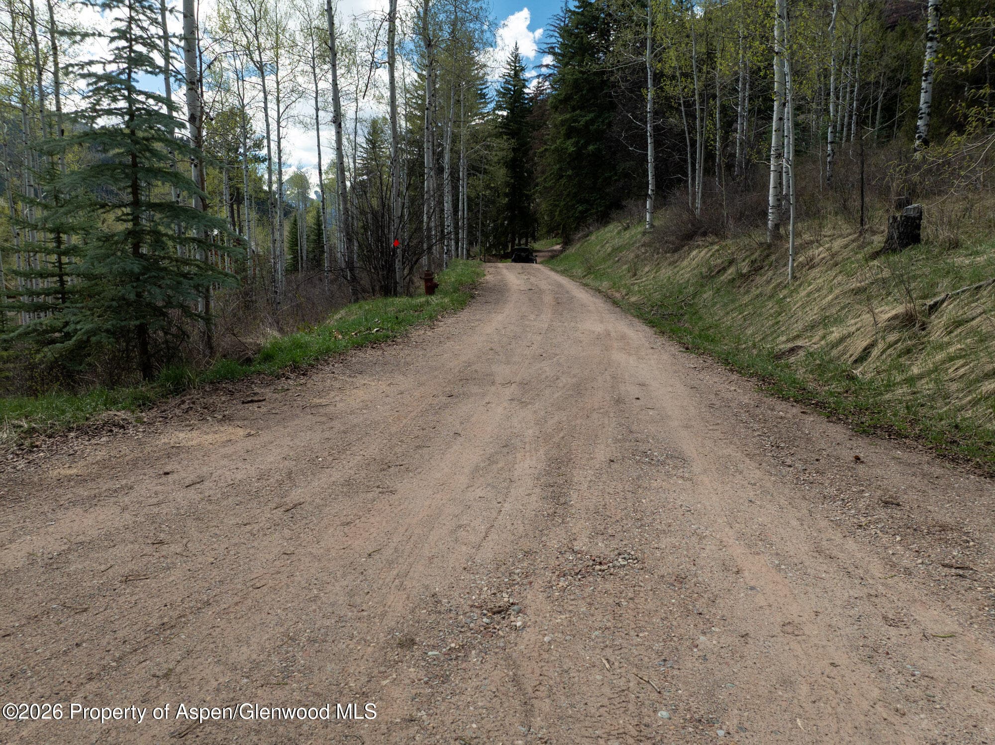 Tbd Bear Creek Lane, Redstone, CO 81623 - Photo 17