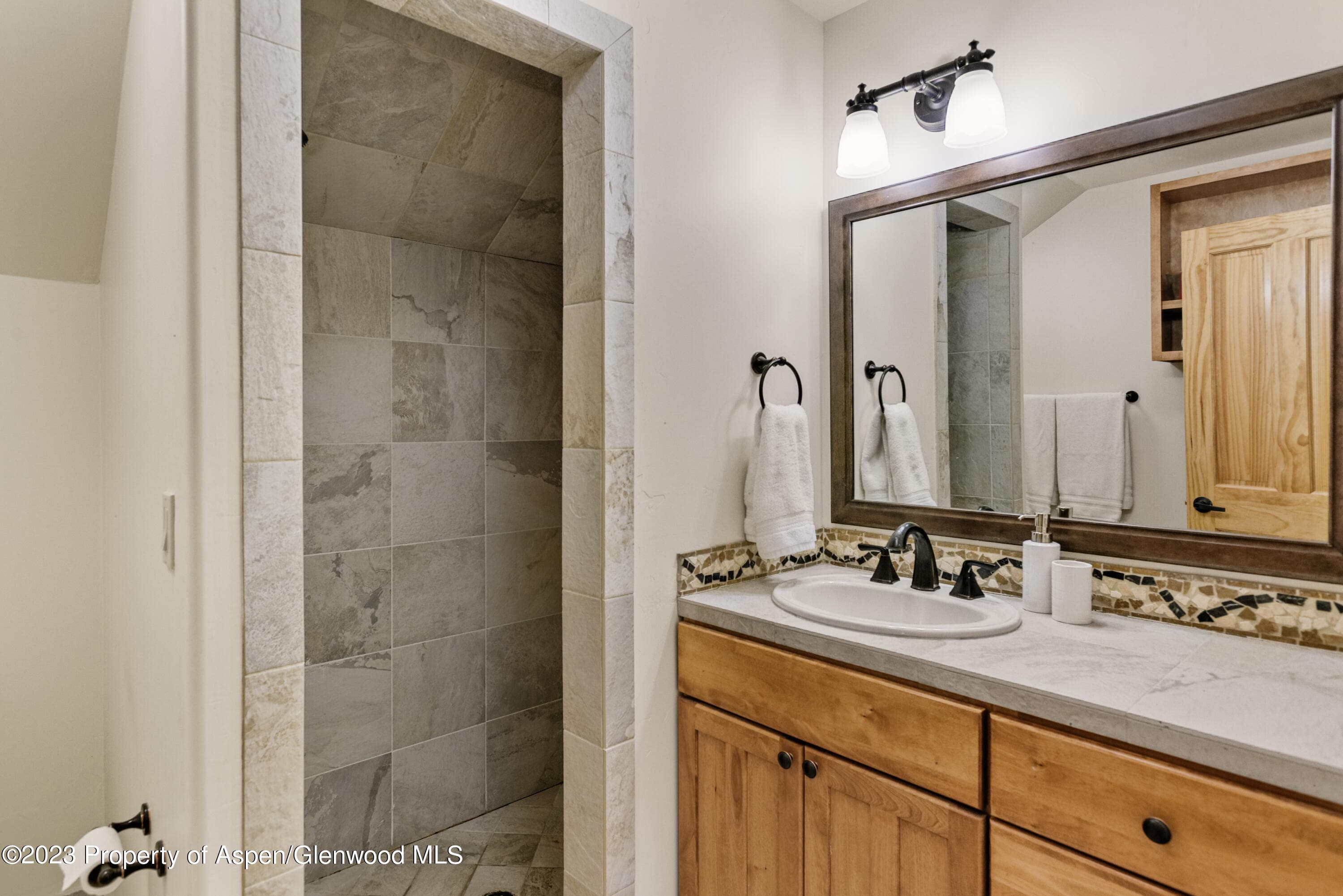 4072 Crystal Bridge Drive, Carbondale, CO 81623 - Photo 19