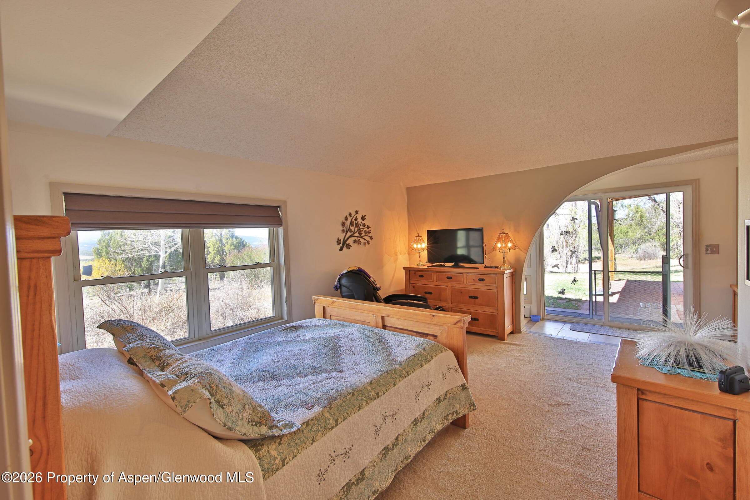 53916 Kk Road, Molina, CO 81646 - Photo 15