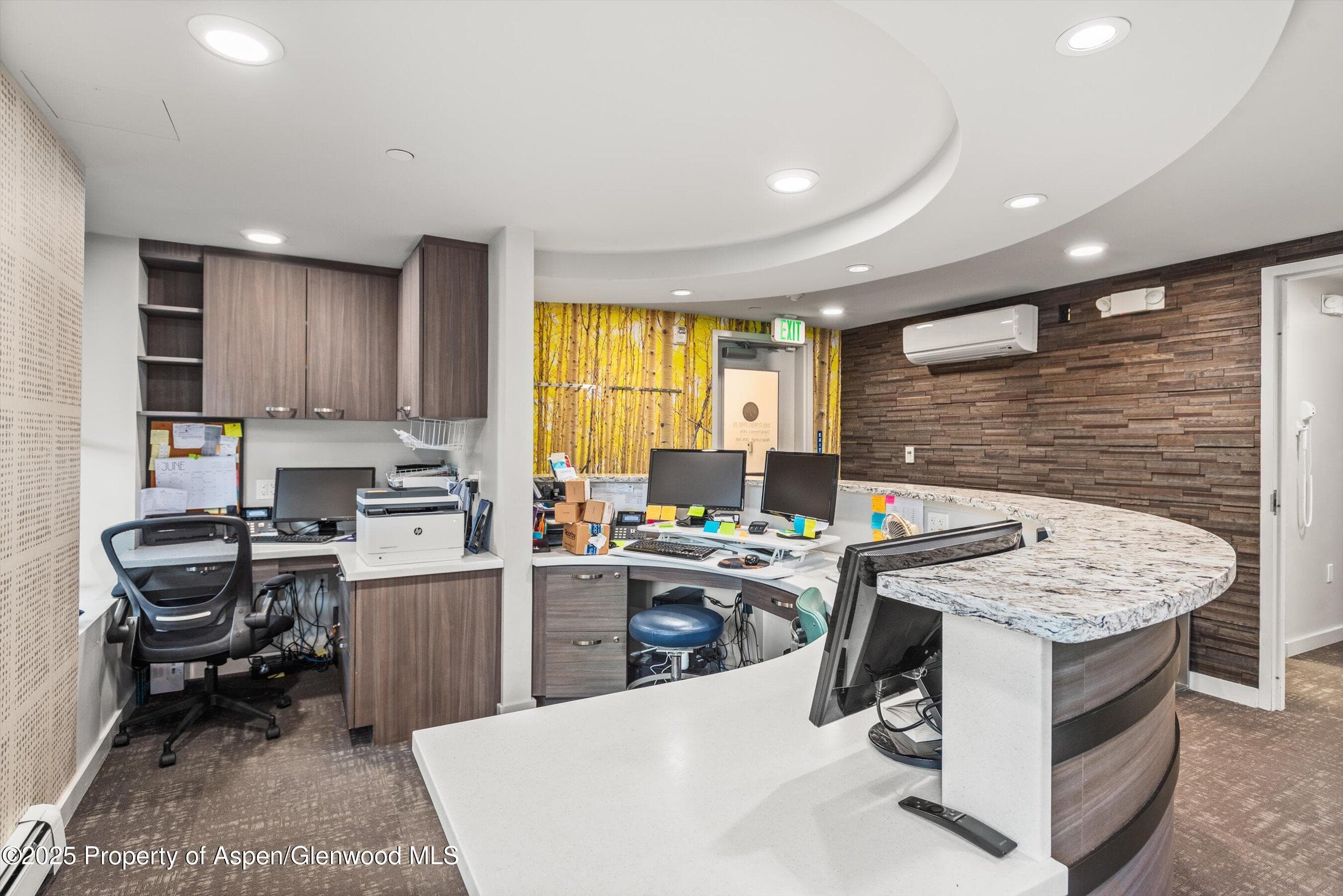 100 E Main Street 1, Aspen, CO 81611 - Photo 5