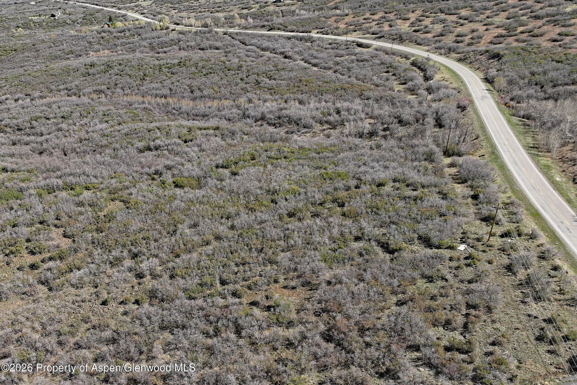 5962 Colorado 65, Mesa, CO 81643 - Photo 7