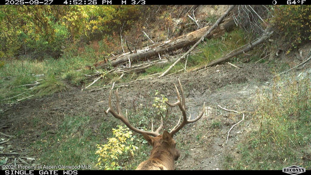 Tbd Highway 13, Rifle, CO 81650 - Photo 18