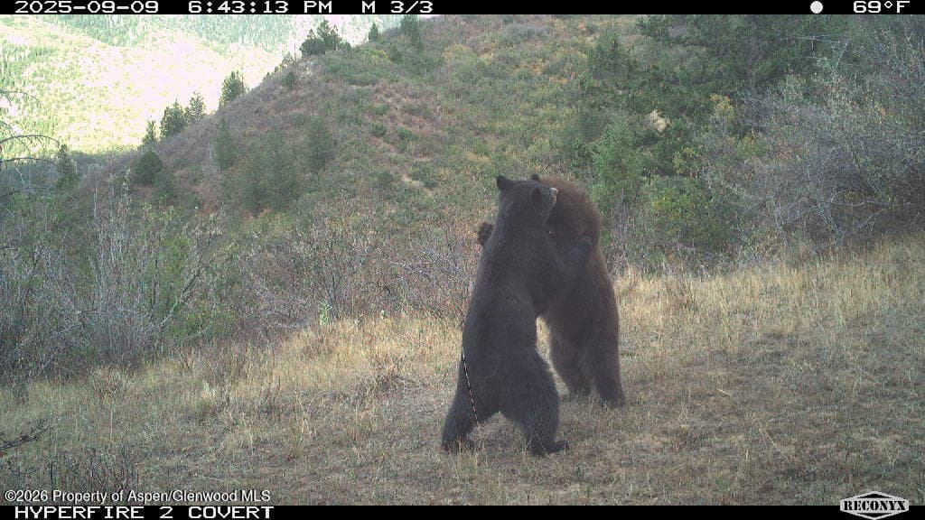 Tbd Highway 13, Rifle, CO 81650 - Photo 27