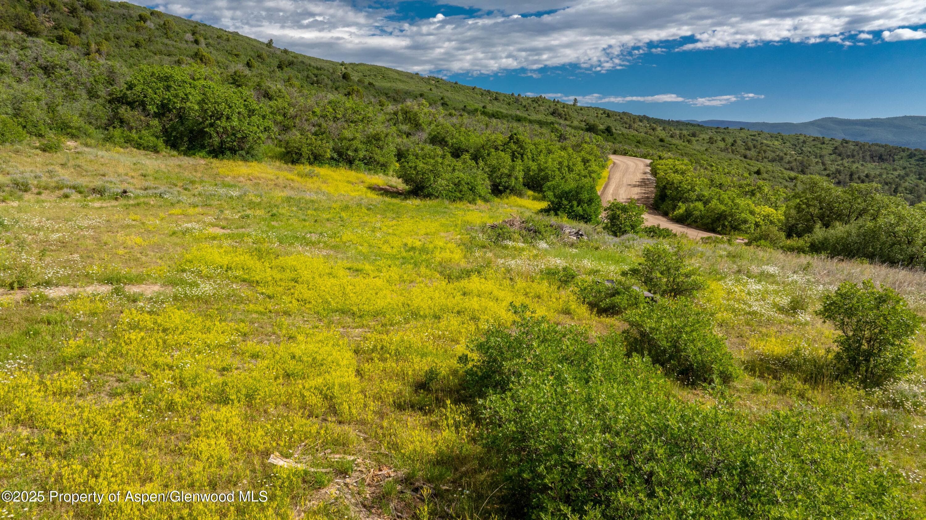 Tbd Co Rd 126, Glenwood Springs, CO 81601 - Photo 10