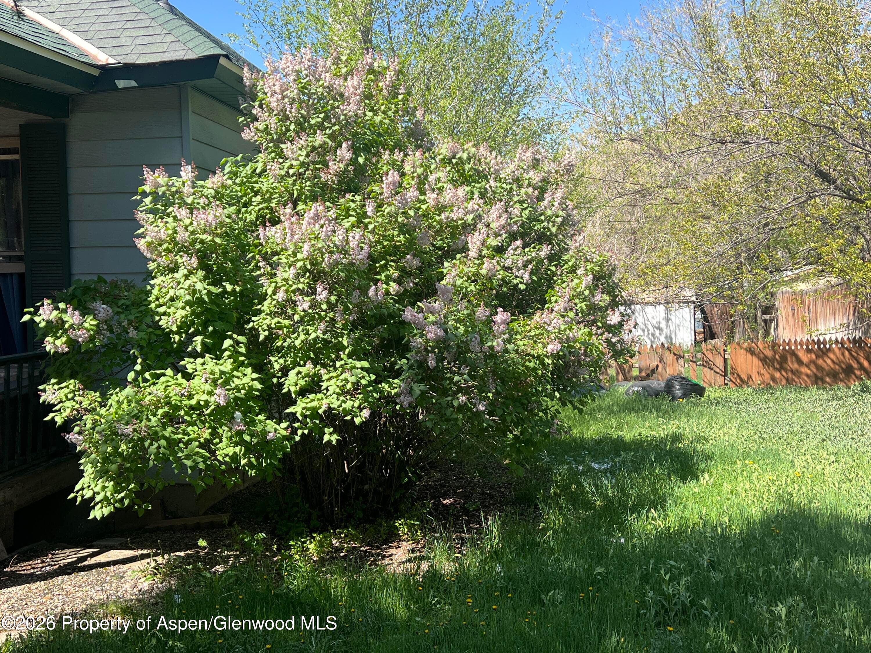 221 S E Avenue, New Castle, CO 81647 - Photo 29