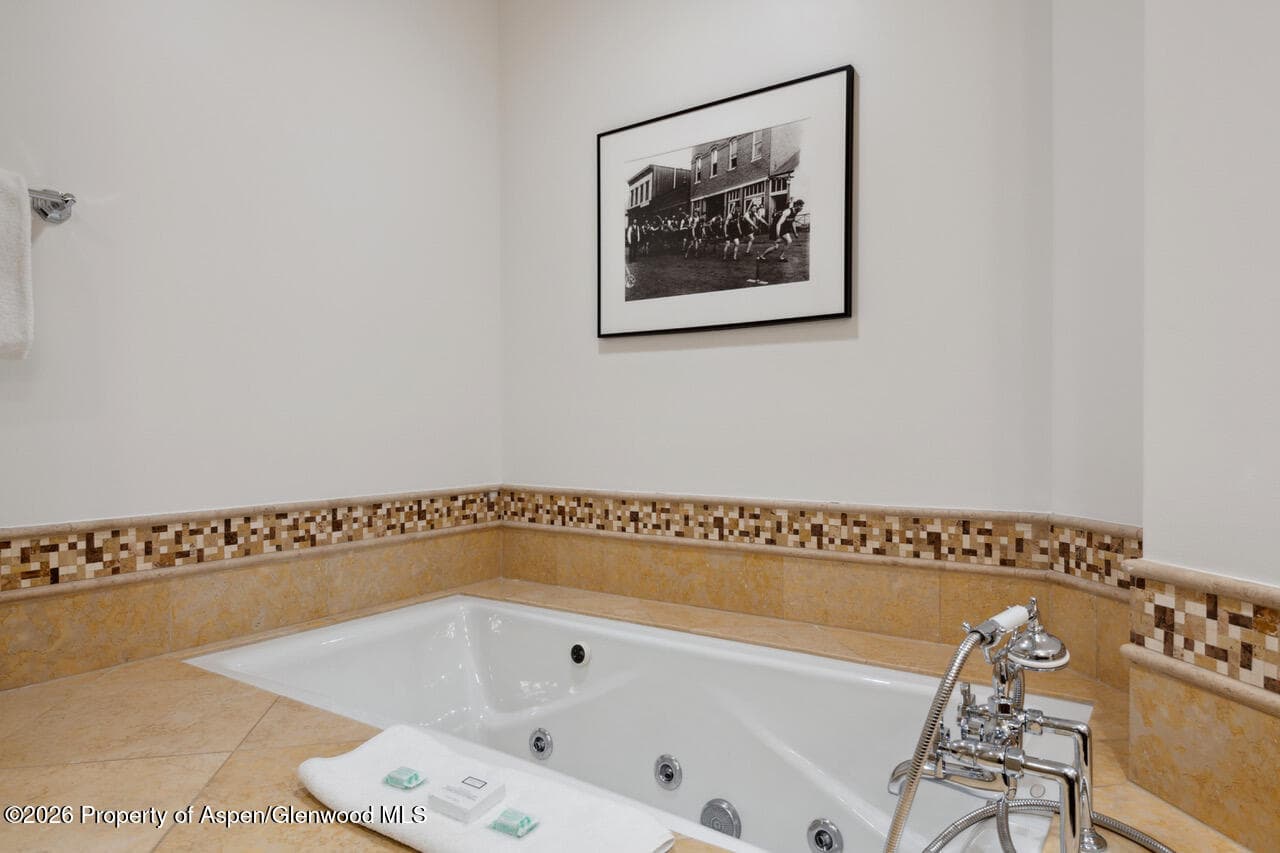 415 E Dean St, Unit 5, Weeks 9 & 10, Aspen, CO 81611 - Photo 16