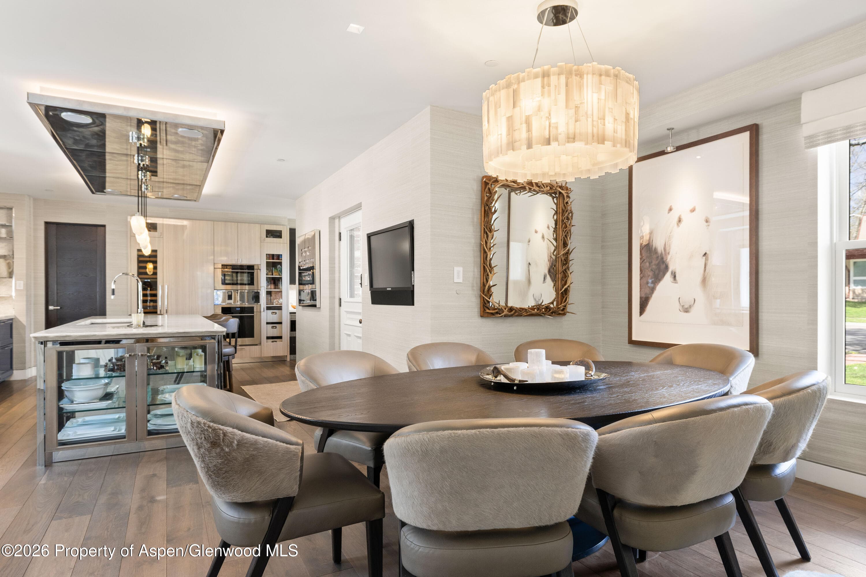101 E Hallam Street, Aspen, CO 81611 - Photo 5