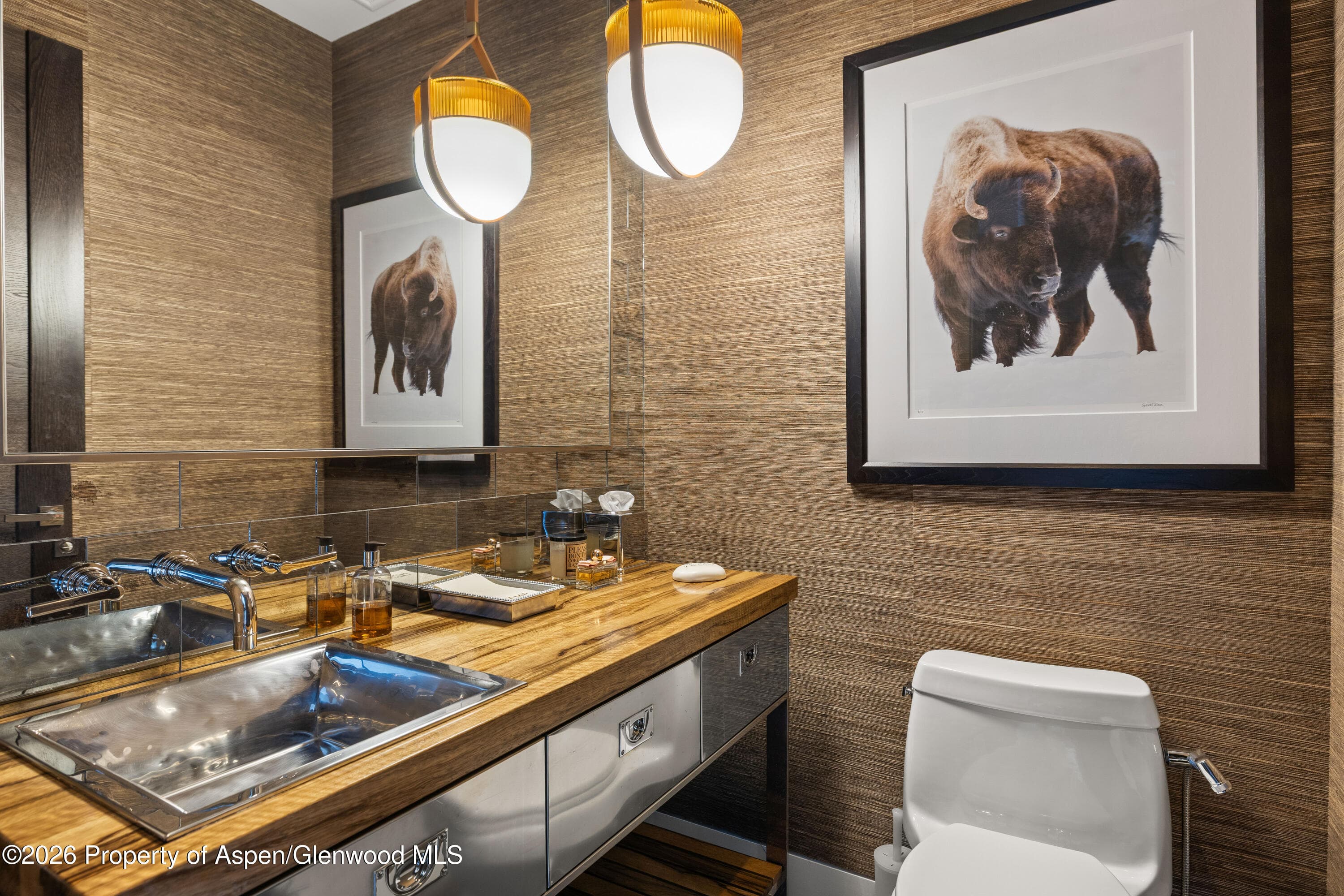101 E Hallam Street, Aspen, CO 81611 - Photo 47