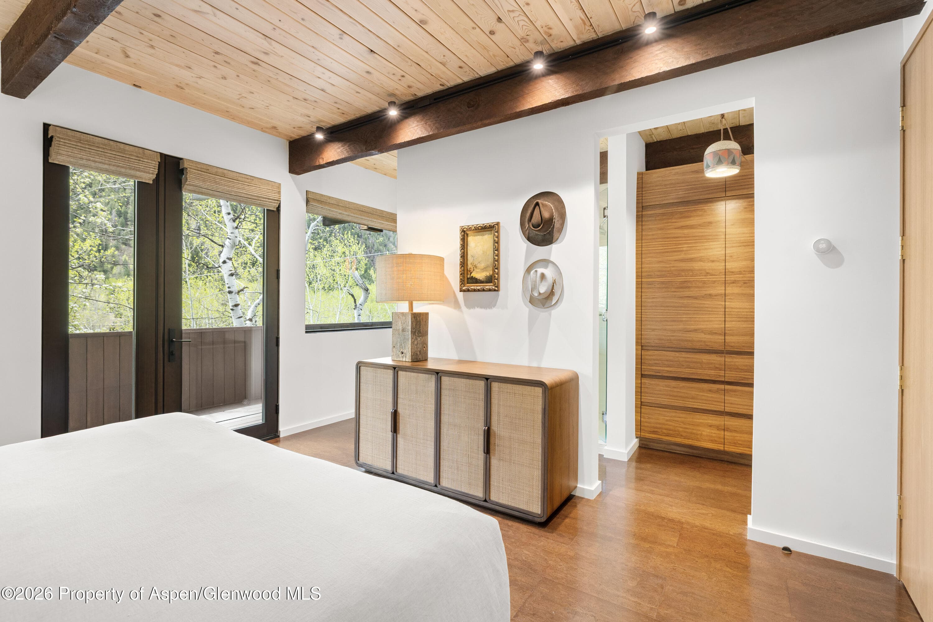 284 Eastwood Drive, Aspen, CO 81611 - Photo 13