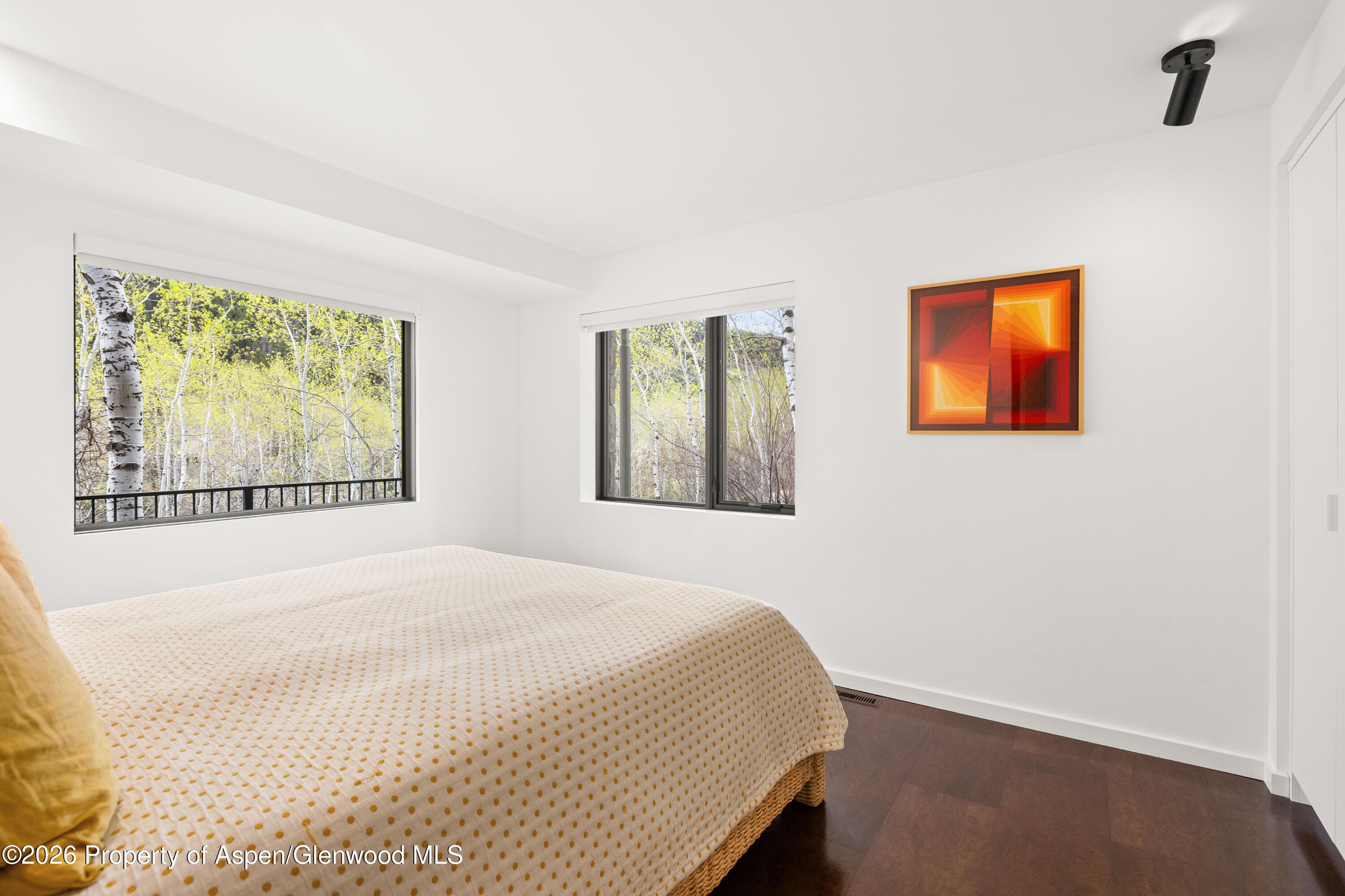 284 Eastwood Drive, Aspen, CO 81611 - Photo 23